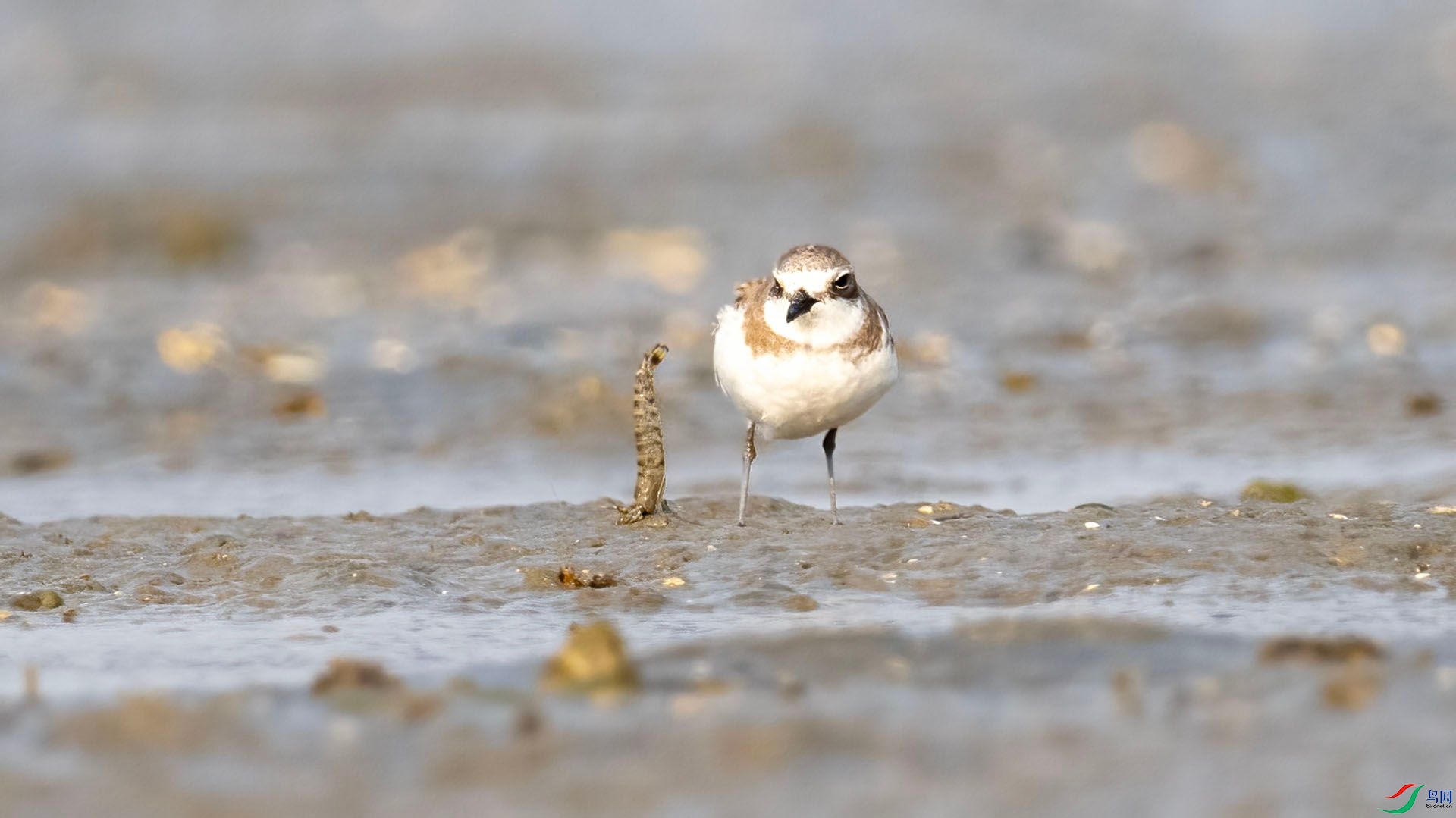 _DSC7571 ����.jpg