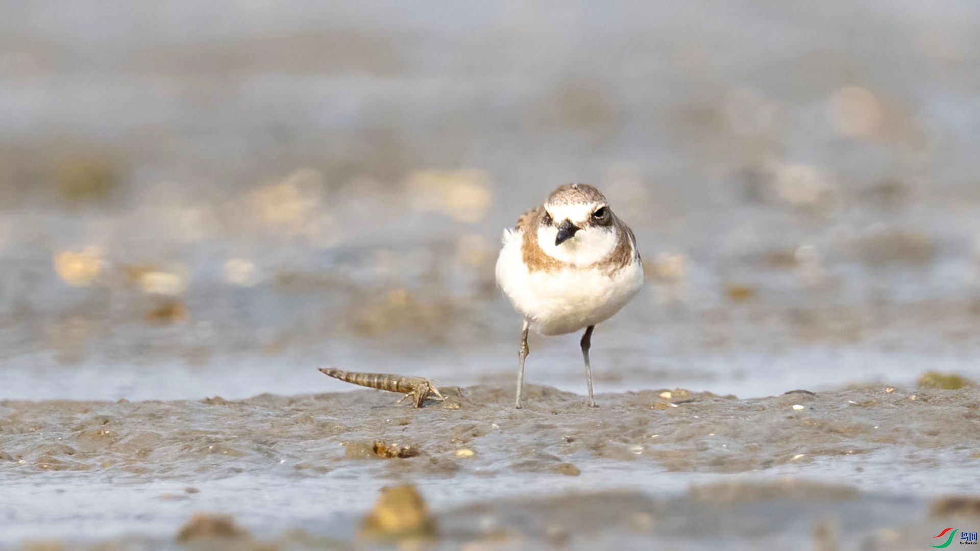 _DSC7572 ����.jpg