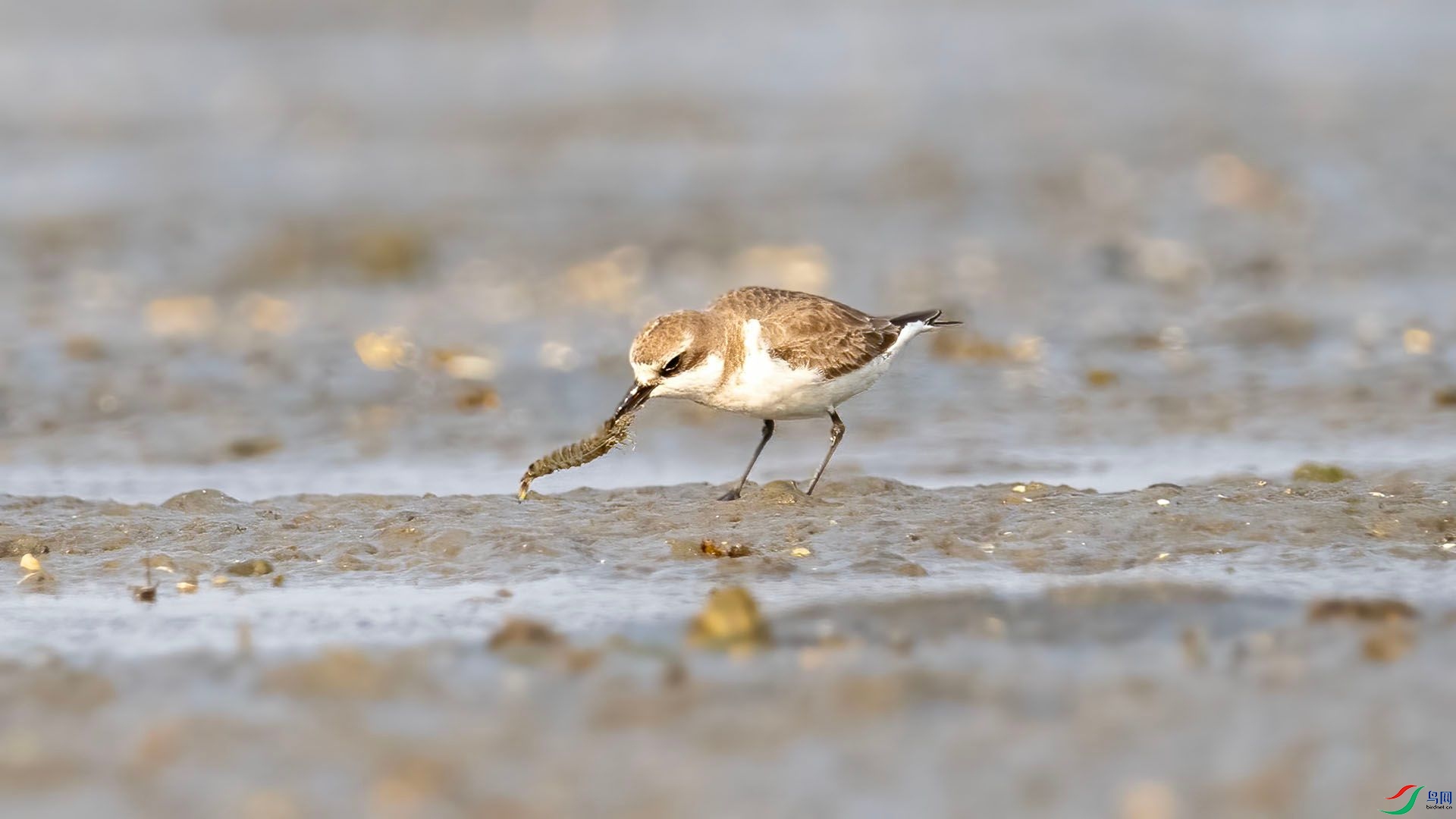 _DSC7576 ����.jpg