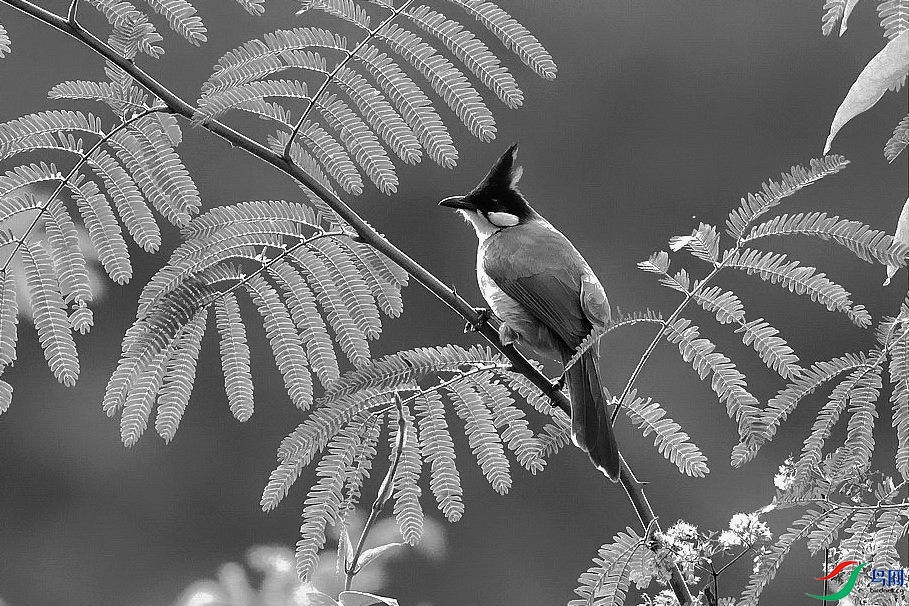 DSC_3546.jpg