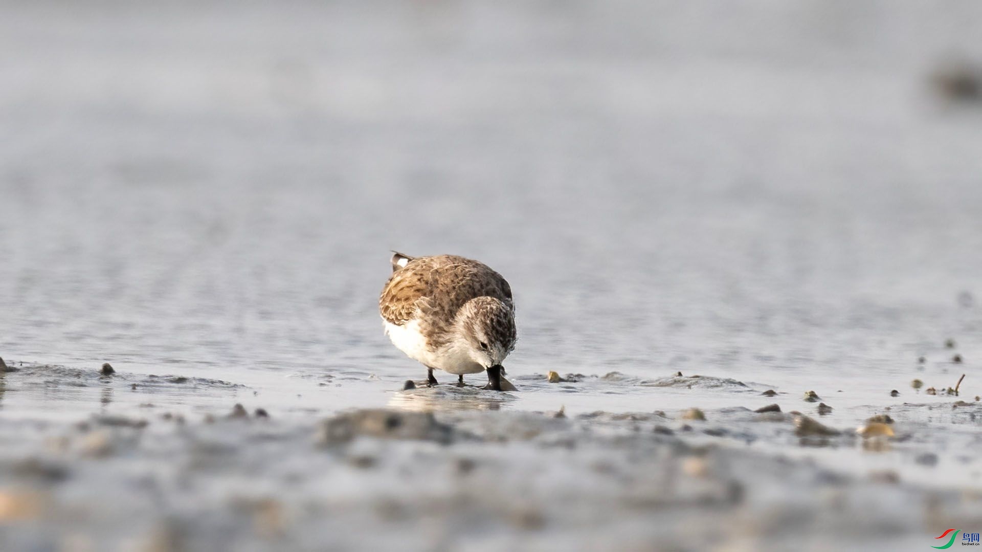 _DSC7621 ����.jpg