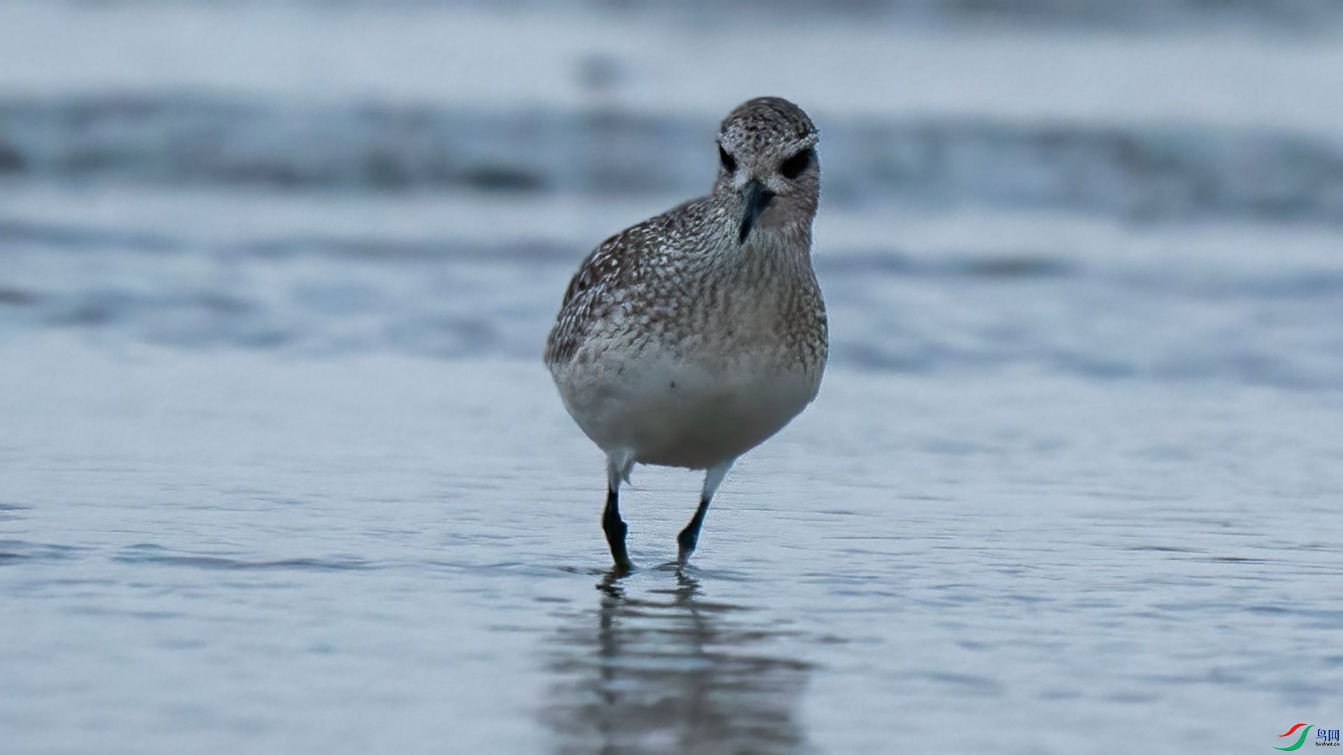 DSC07272 ����.jpg