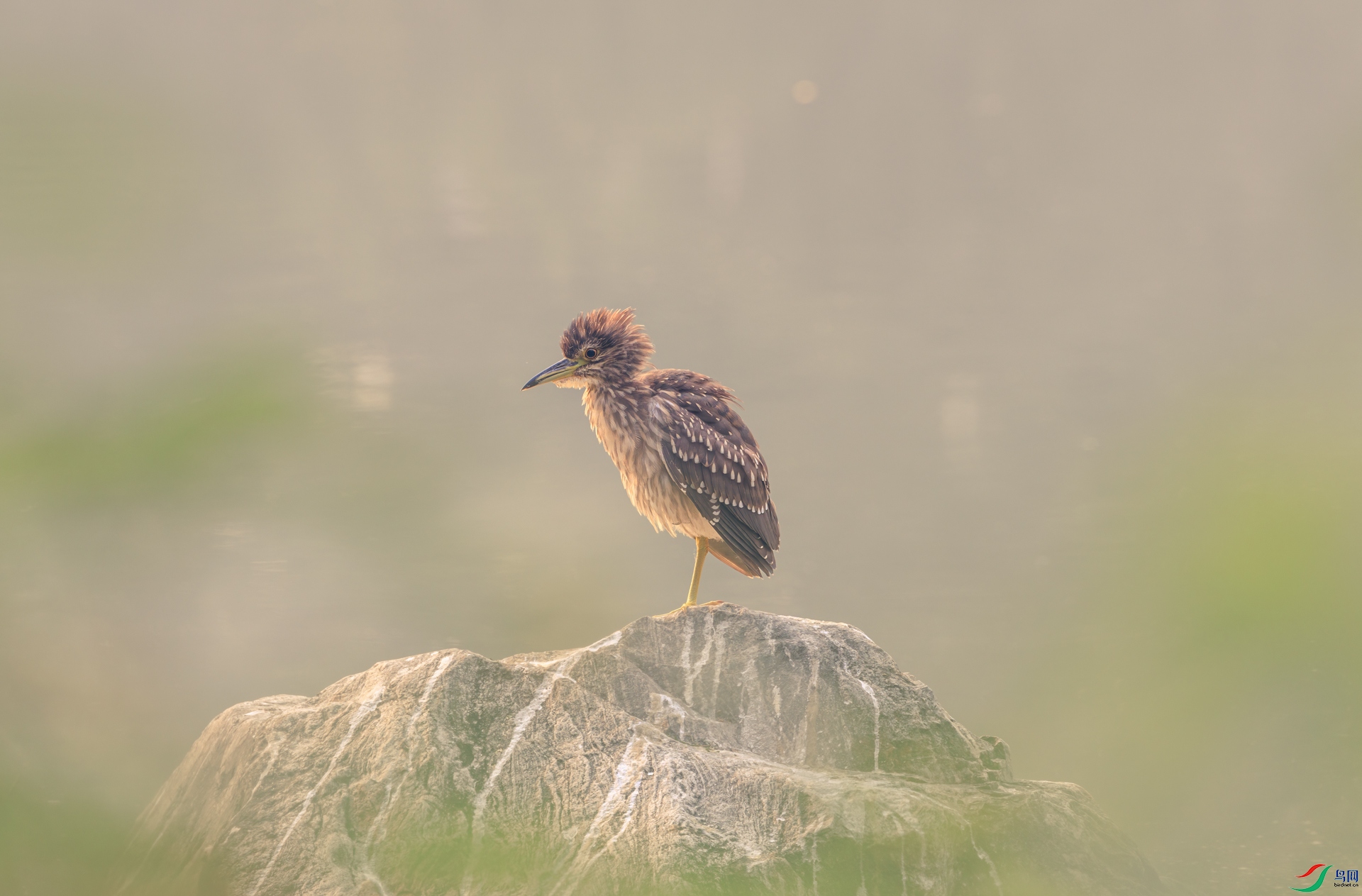����1M5A6104.jpg