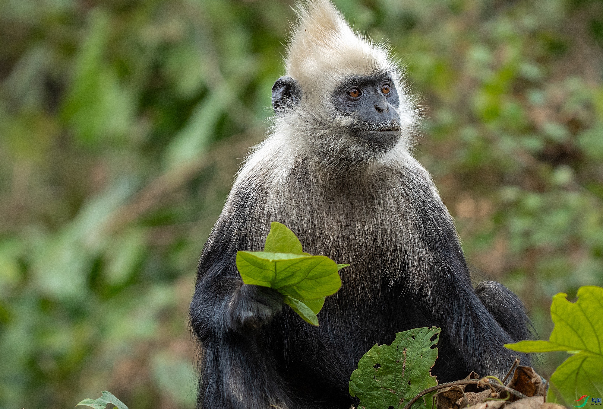 DSC00558 ����1111.jpg