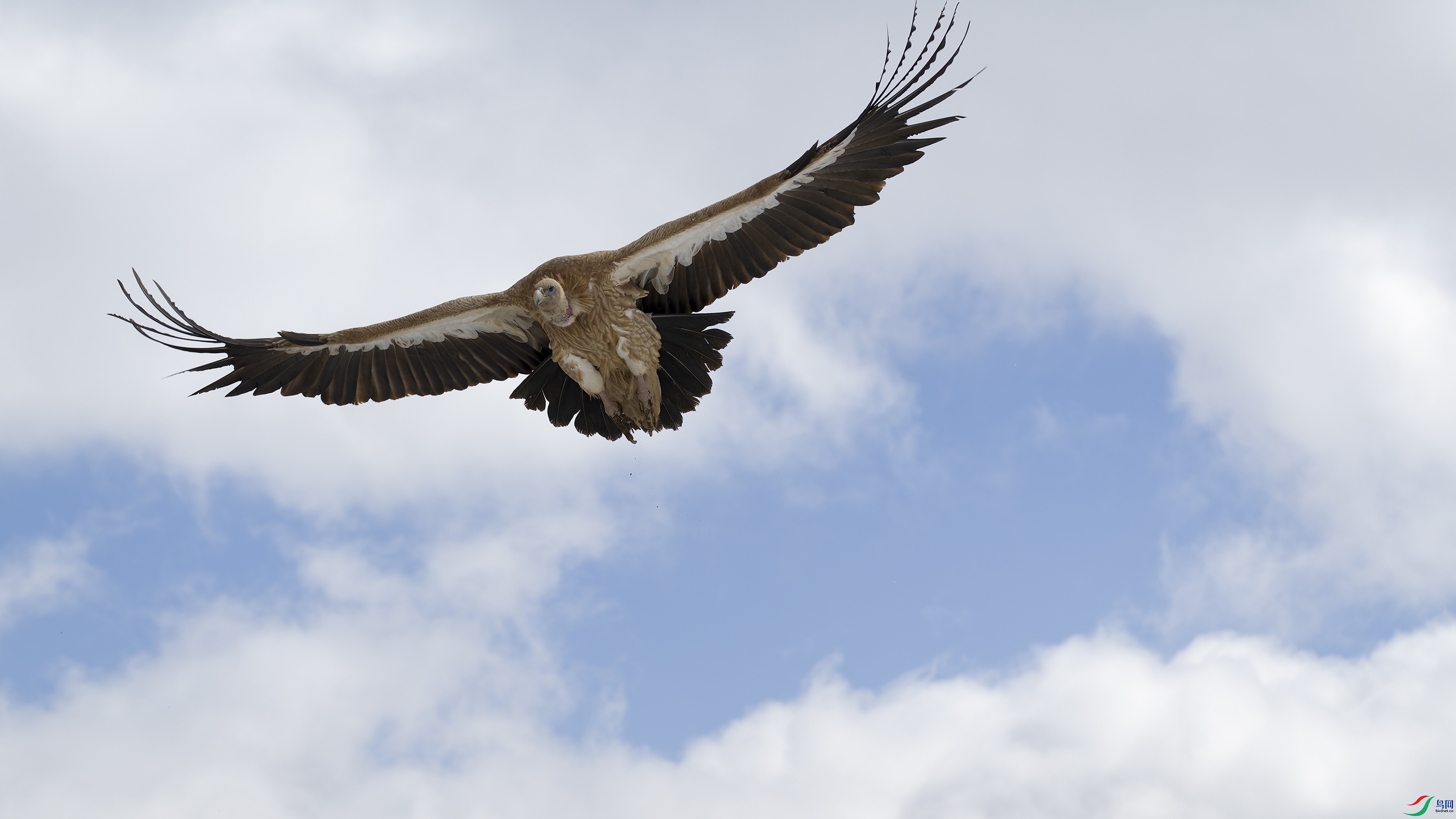 DSC_5516_DxO.jpg