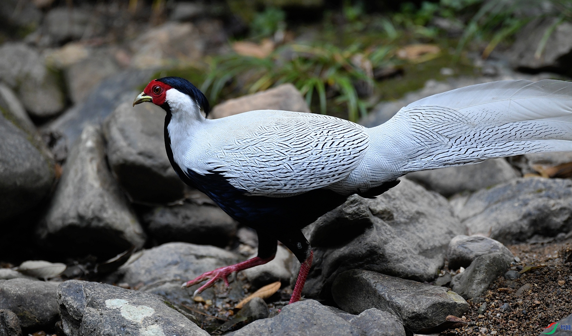 DSC_7836.jpg