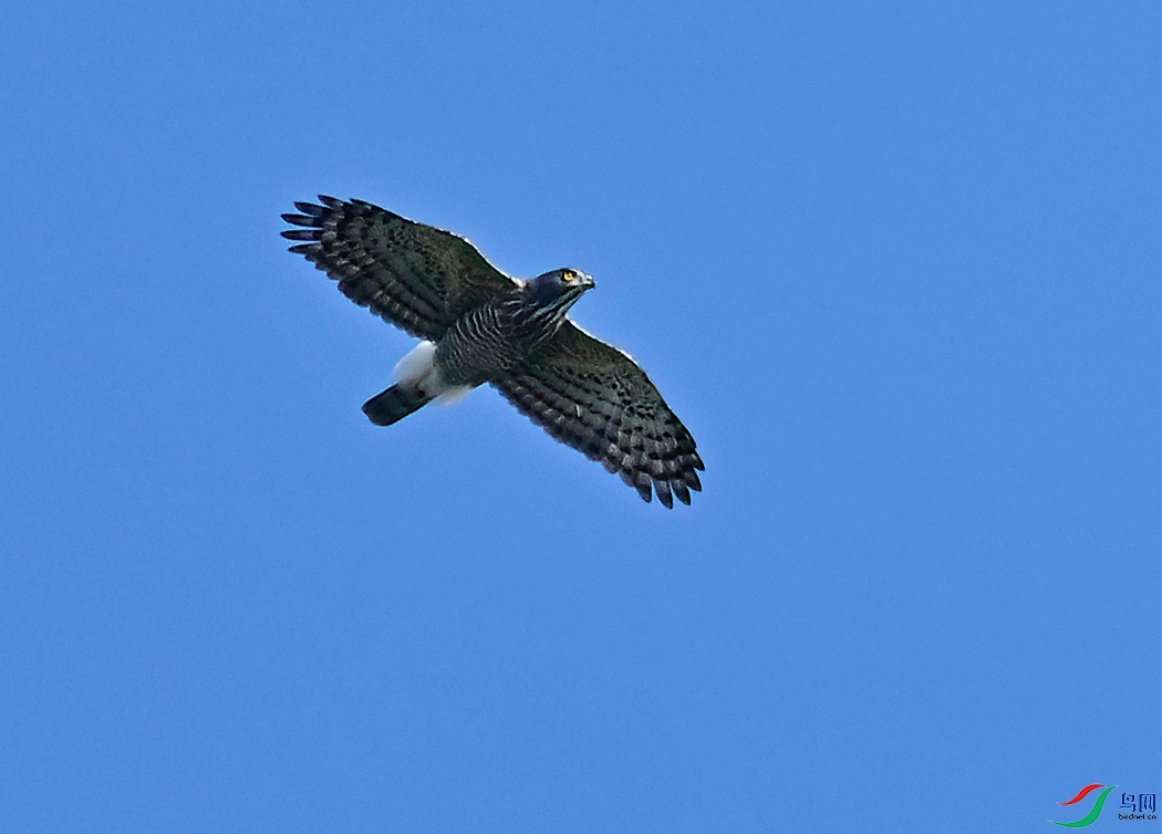 DSC_1080.JPG