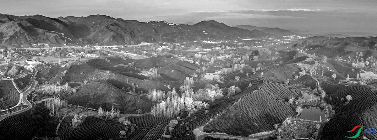 DJI_20251111072248_0076_D ���� 2.jpg