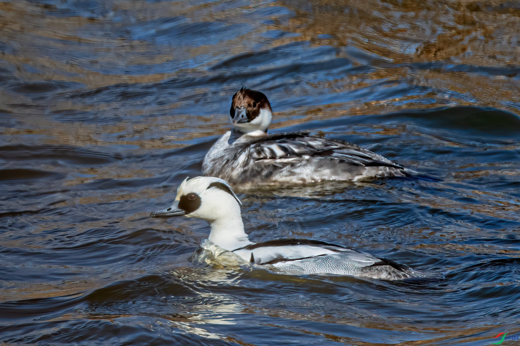 DSC_1474-21.jpg