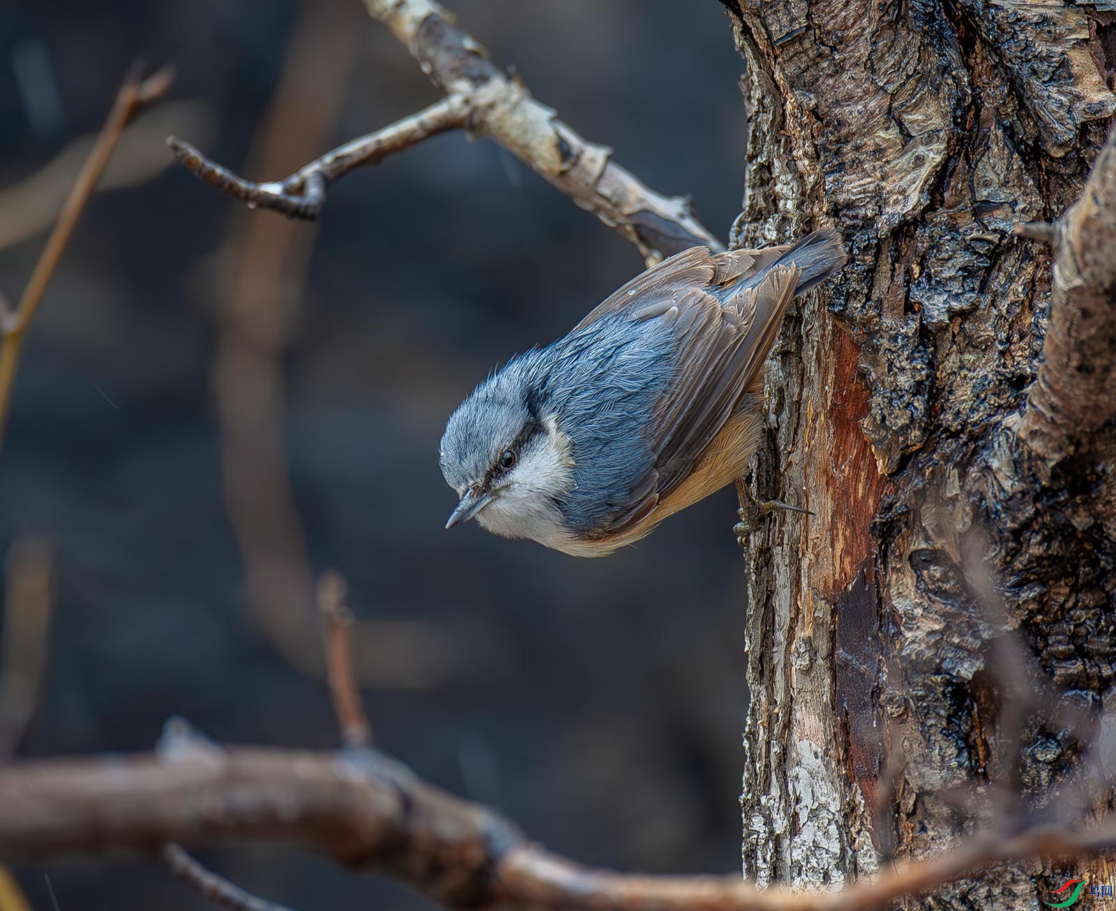 DS1_9358.jpg