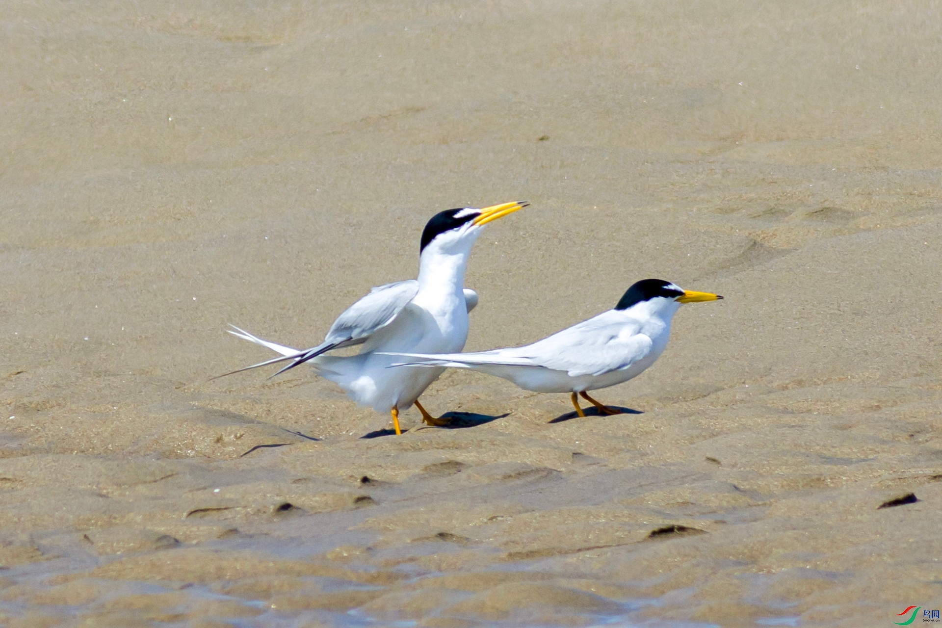 2H6A4765 ����_����.jpg