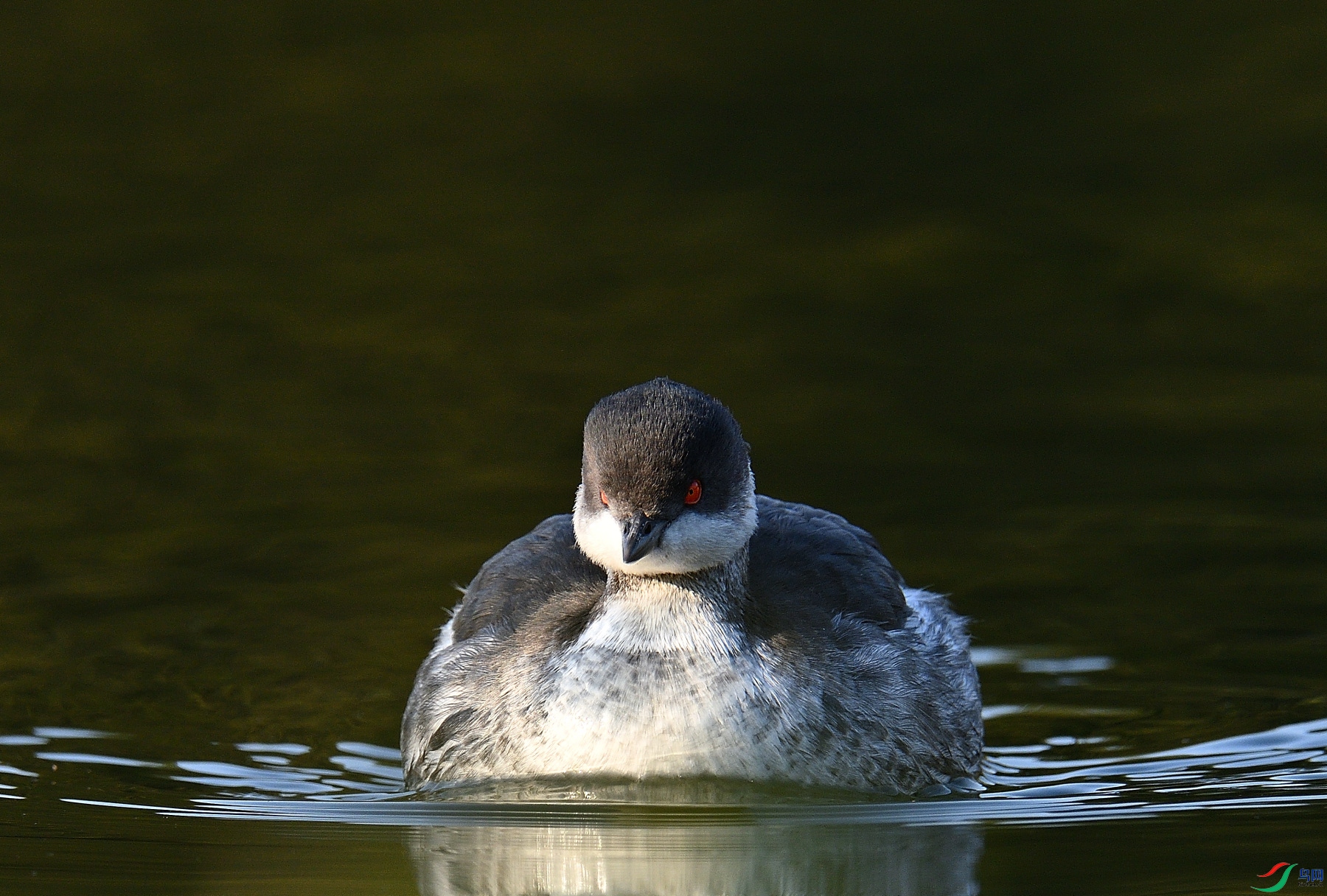DSC_6592.JPG