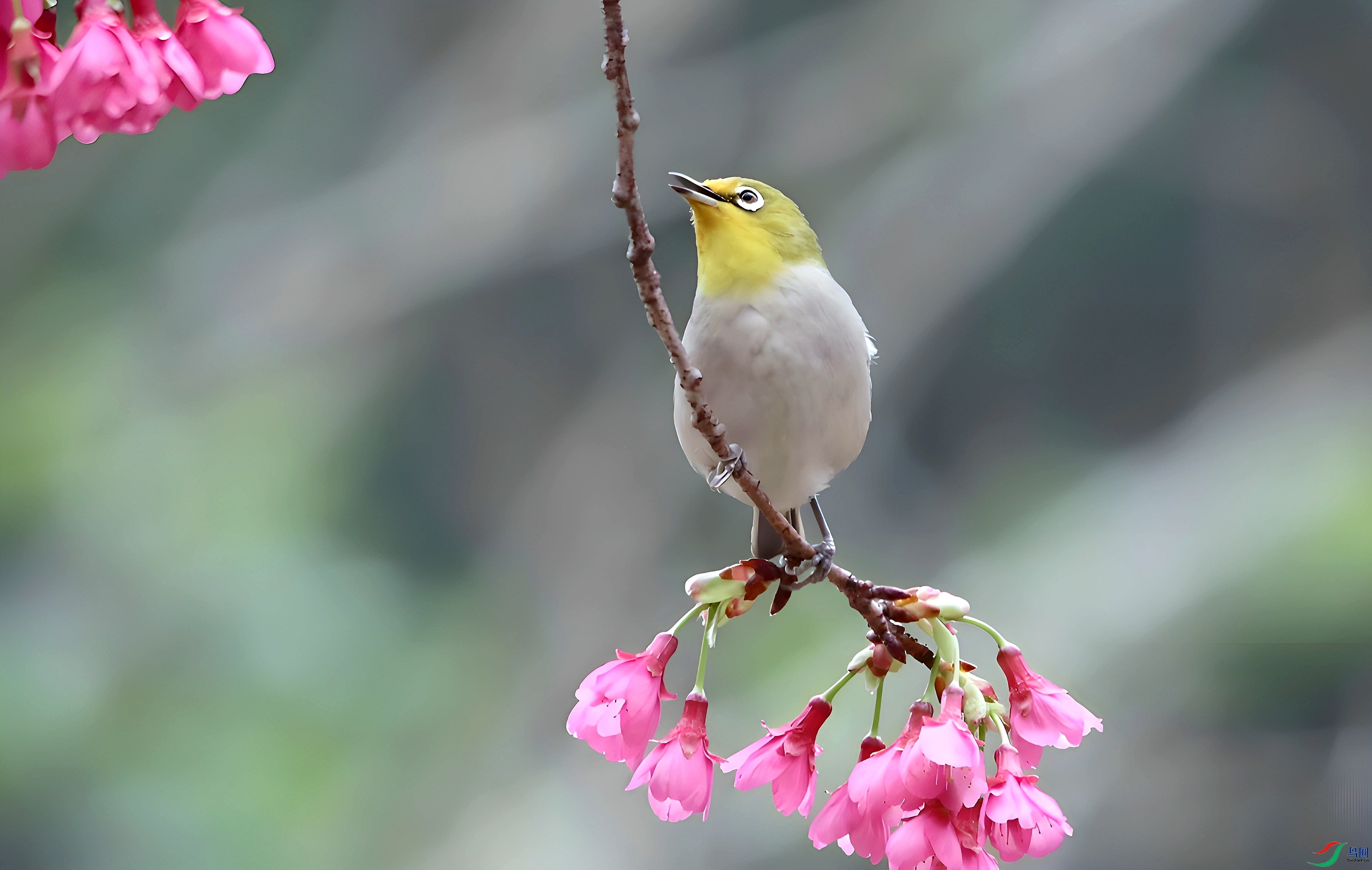 3025_����.jpg