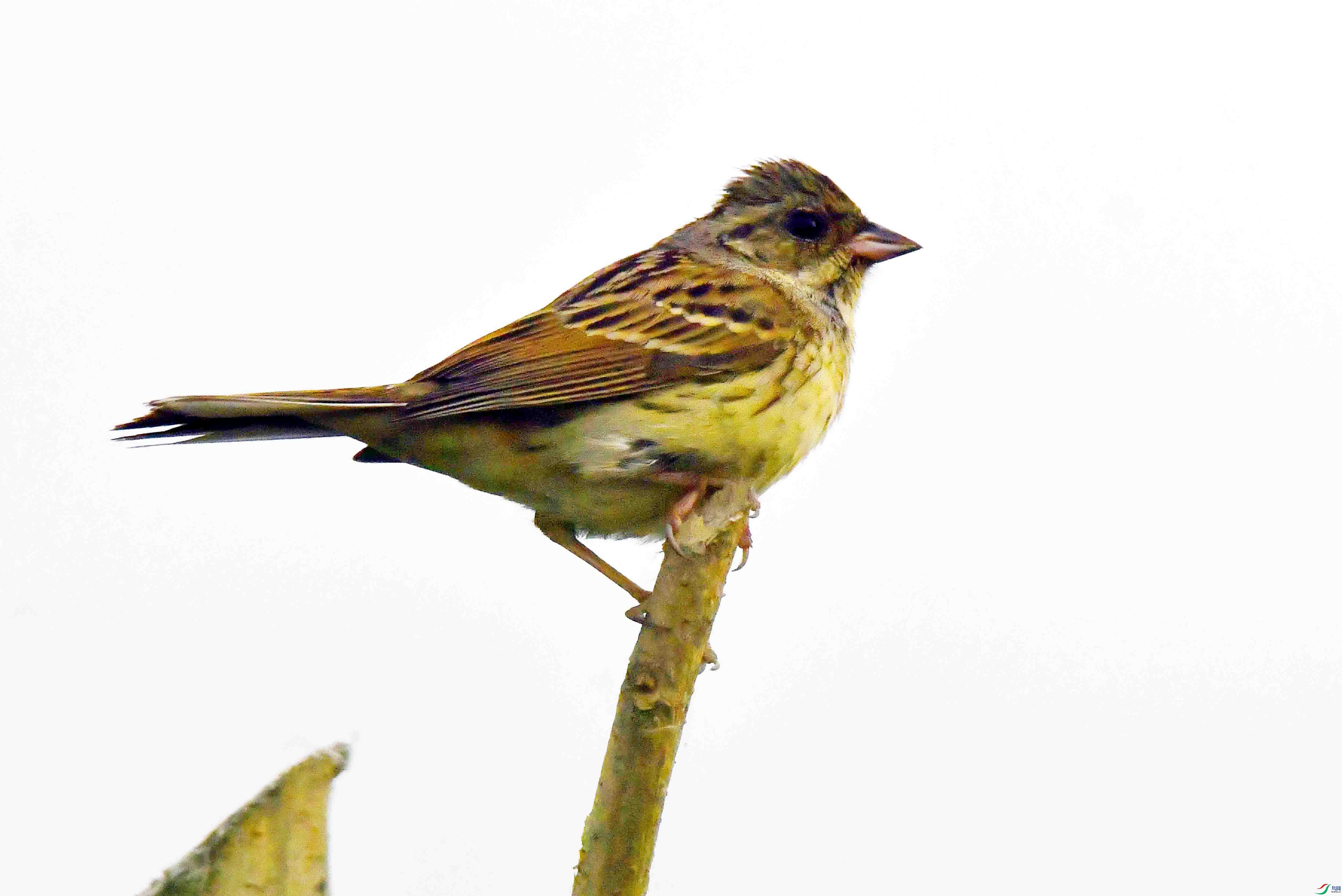 DSC_6216.JPG