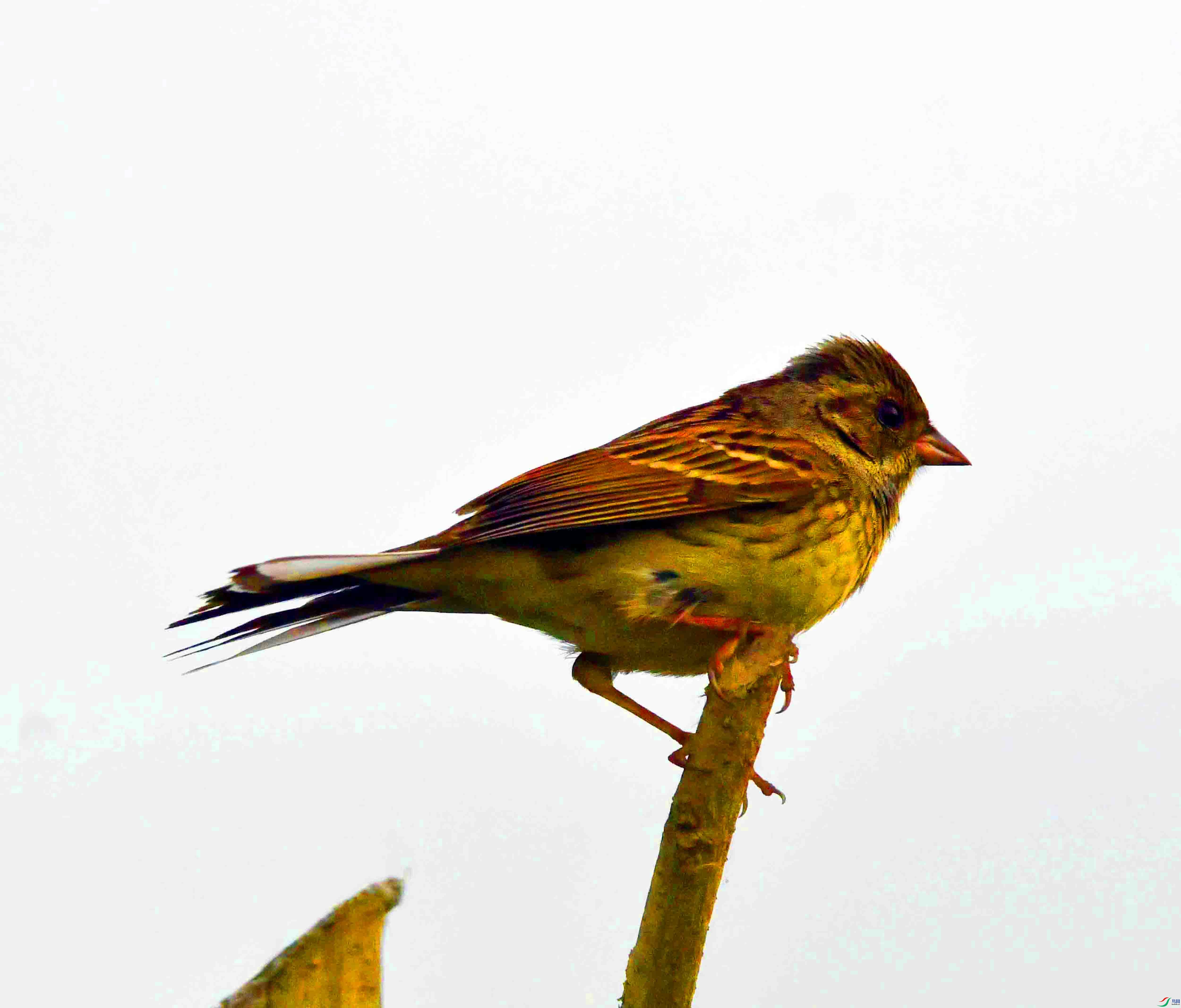 DSC_6220.JPG