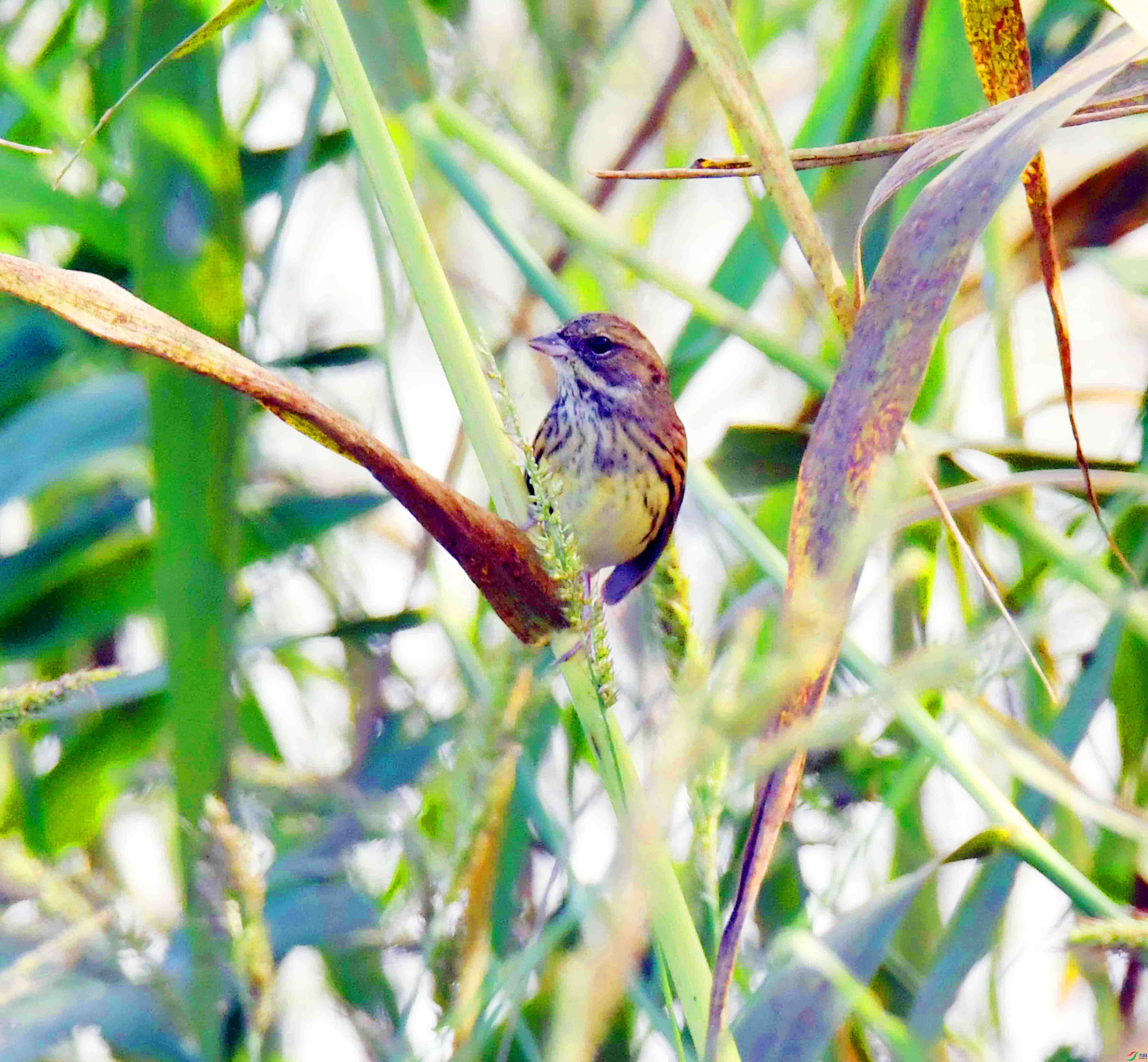DSC_6403.JPG