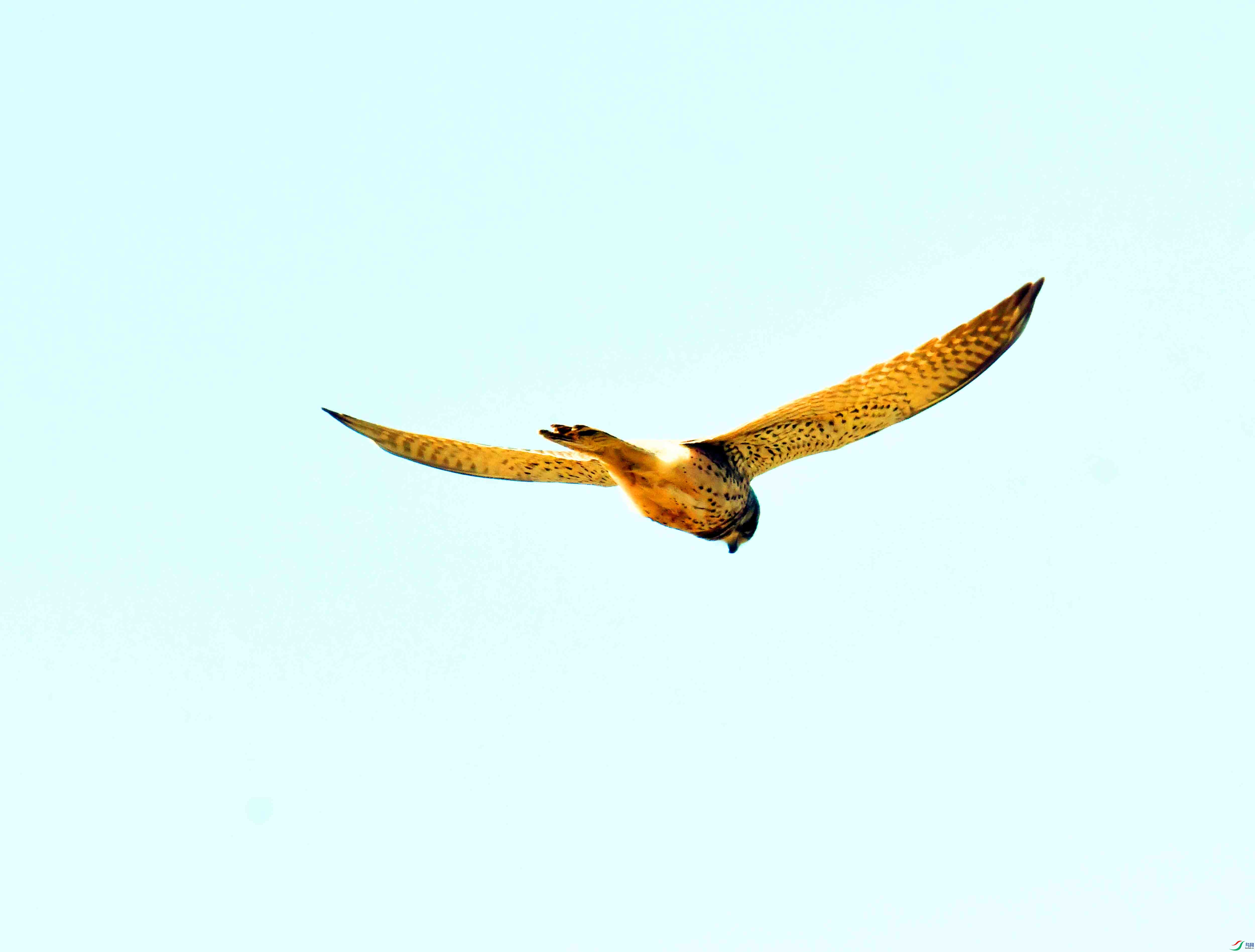 DSC_5774.JPG