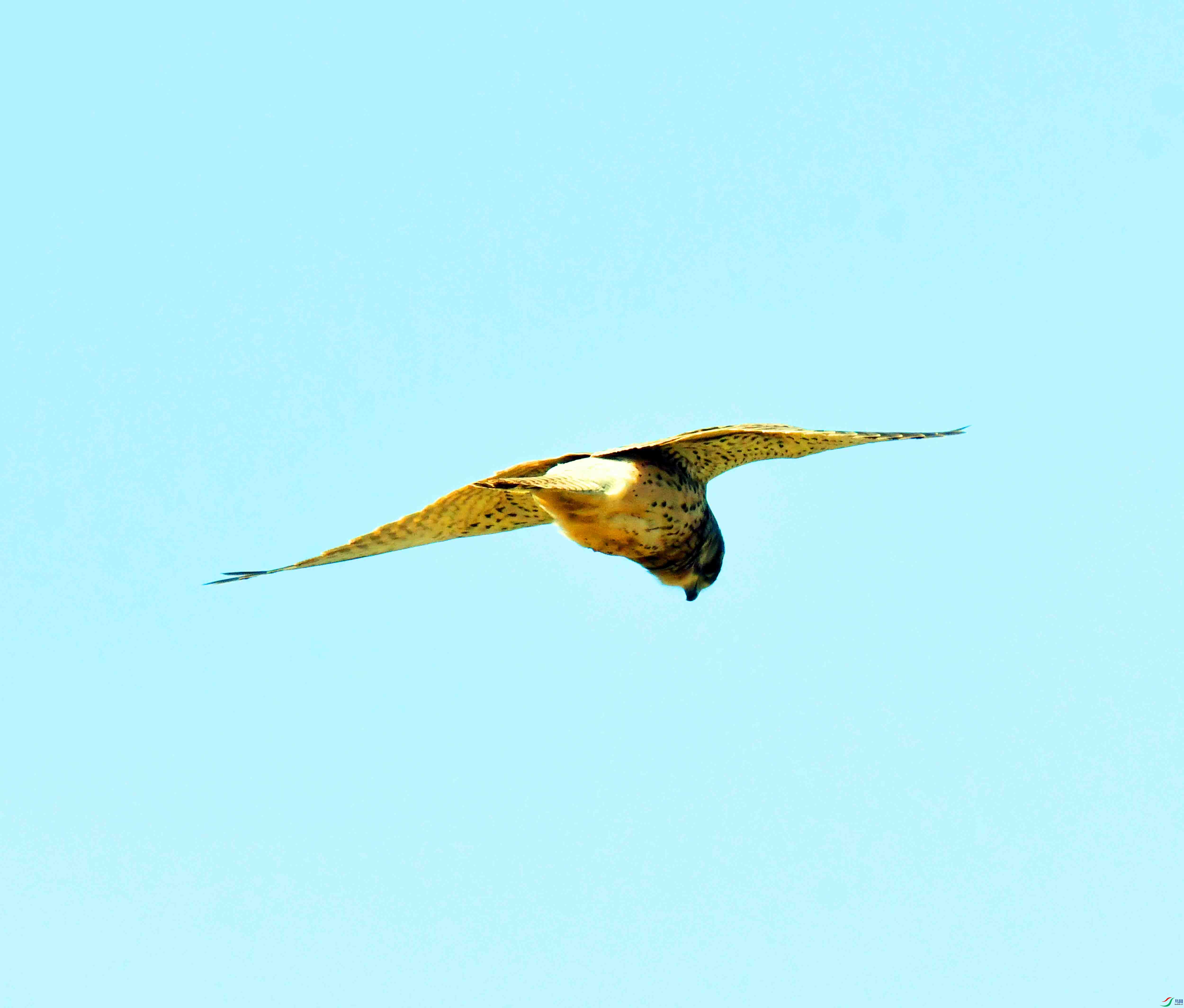 DSC_5777.JPG