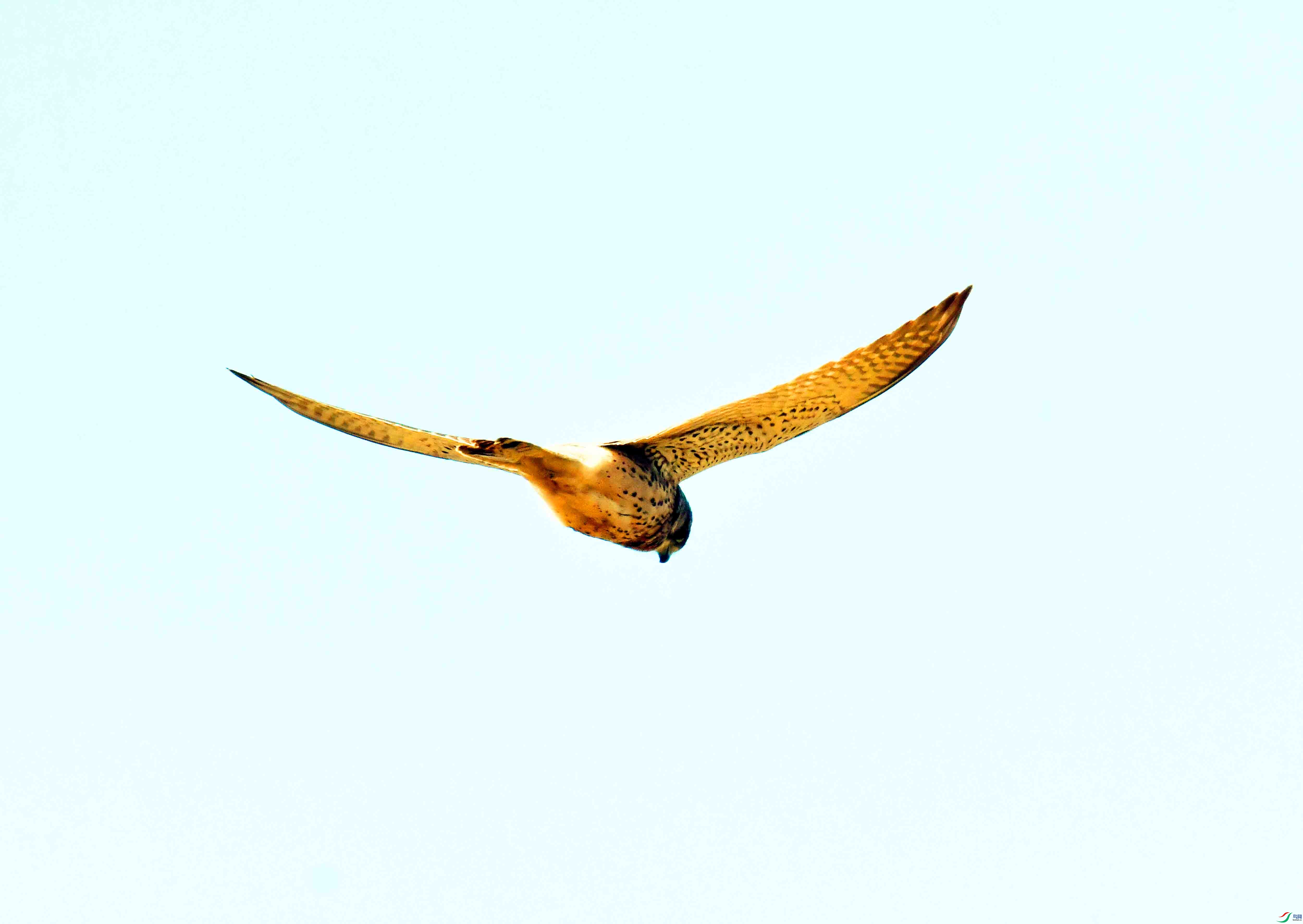 DSC_5776.JPG