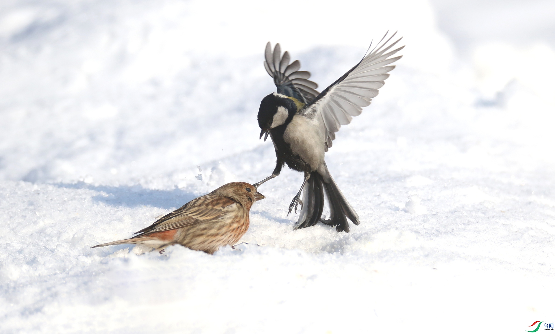 0G1A5620 ����.jpg