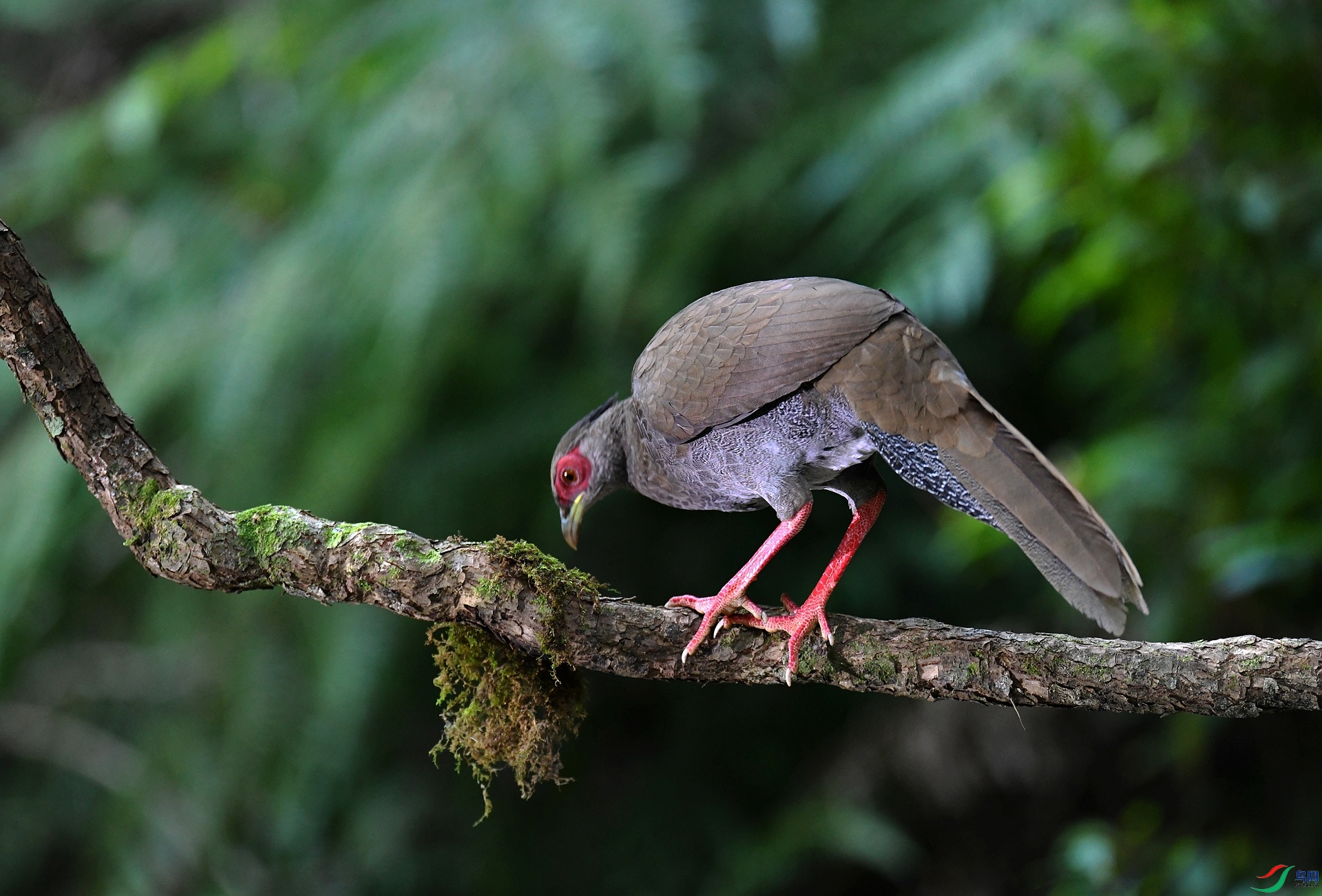 DSC_7900.jpg