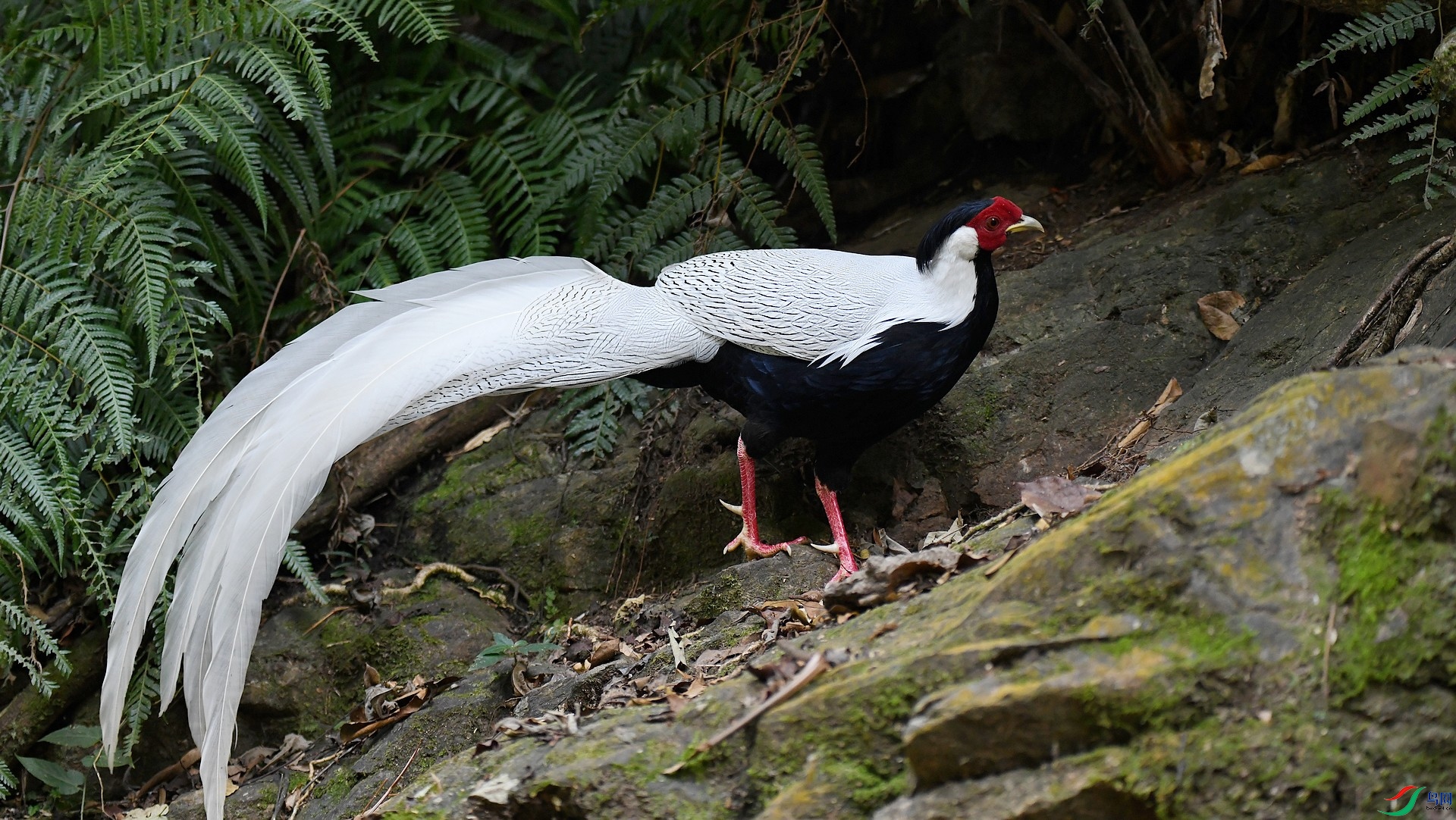 DSC_8075.jpg