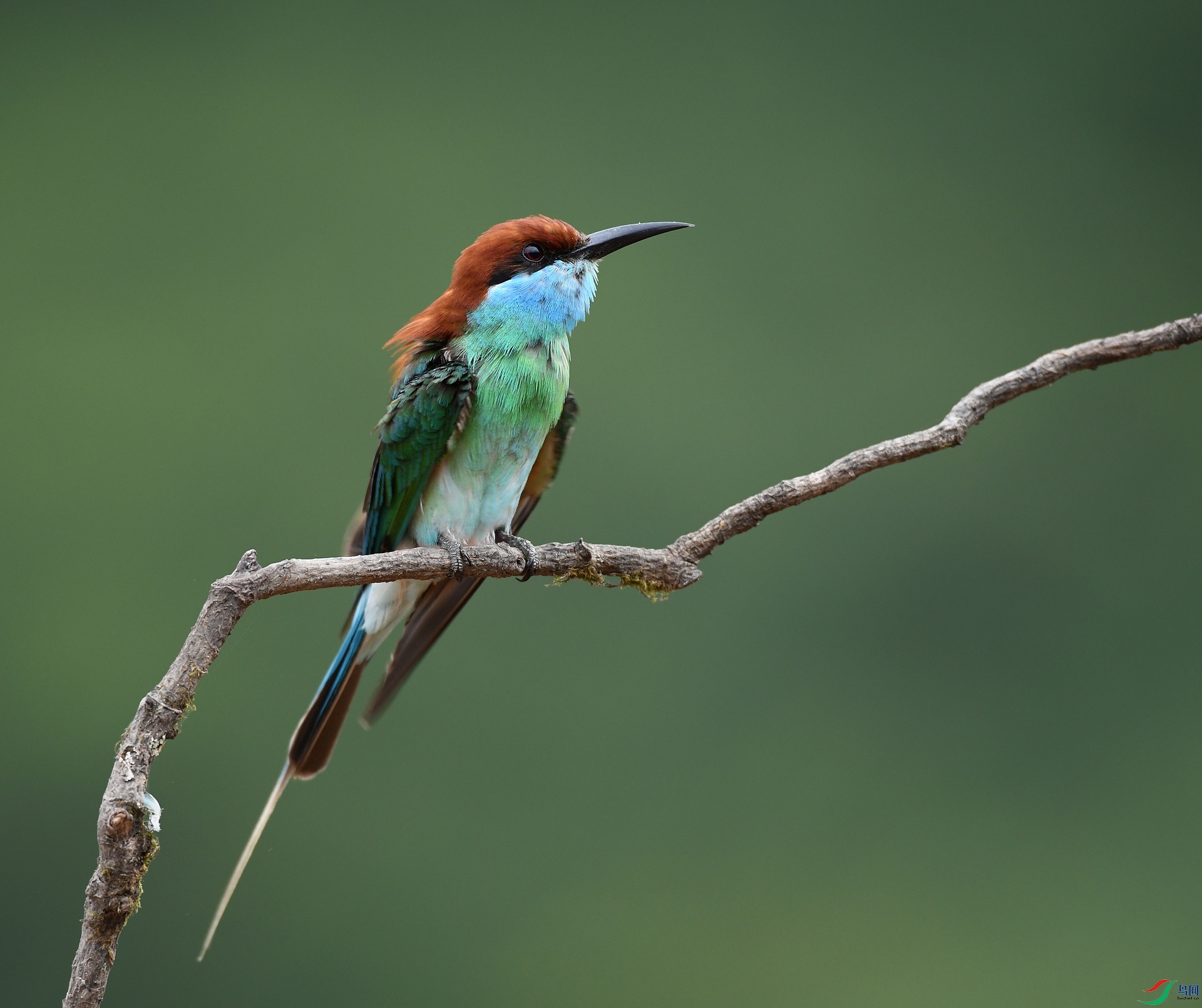 DSC_1112.jpg