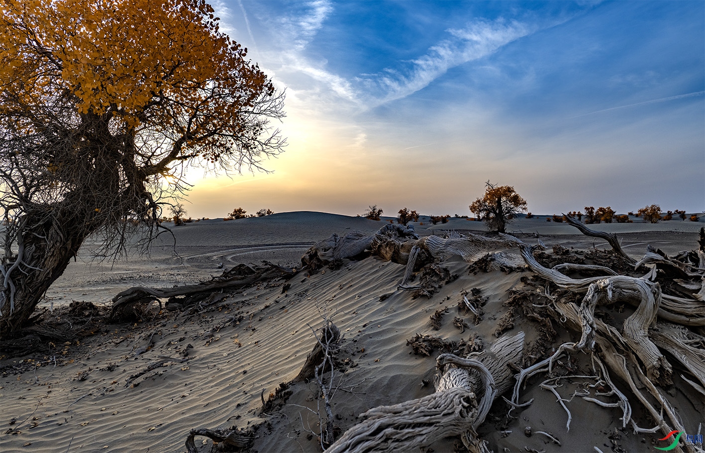 _DSC9314-HDR ����.jpg