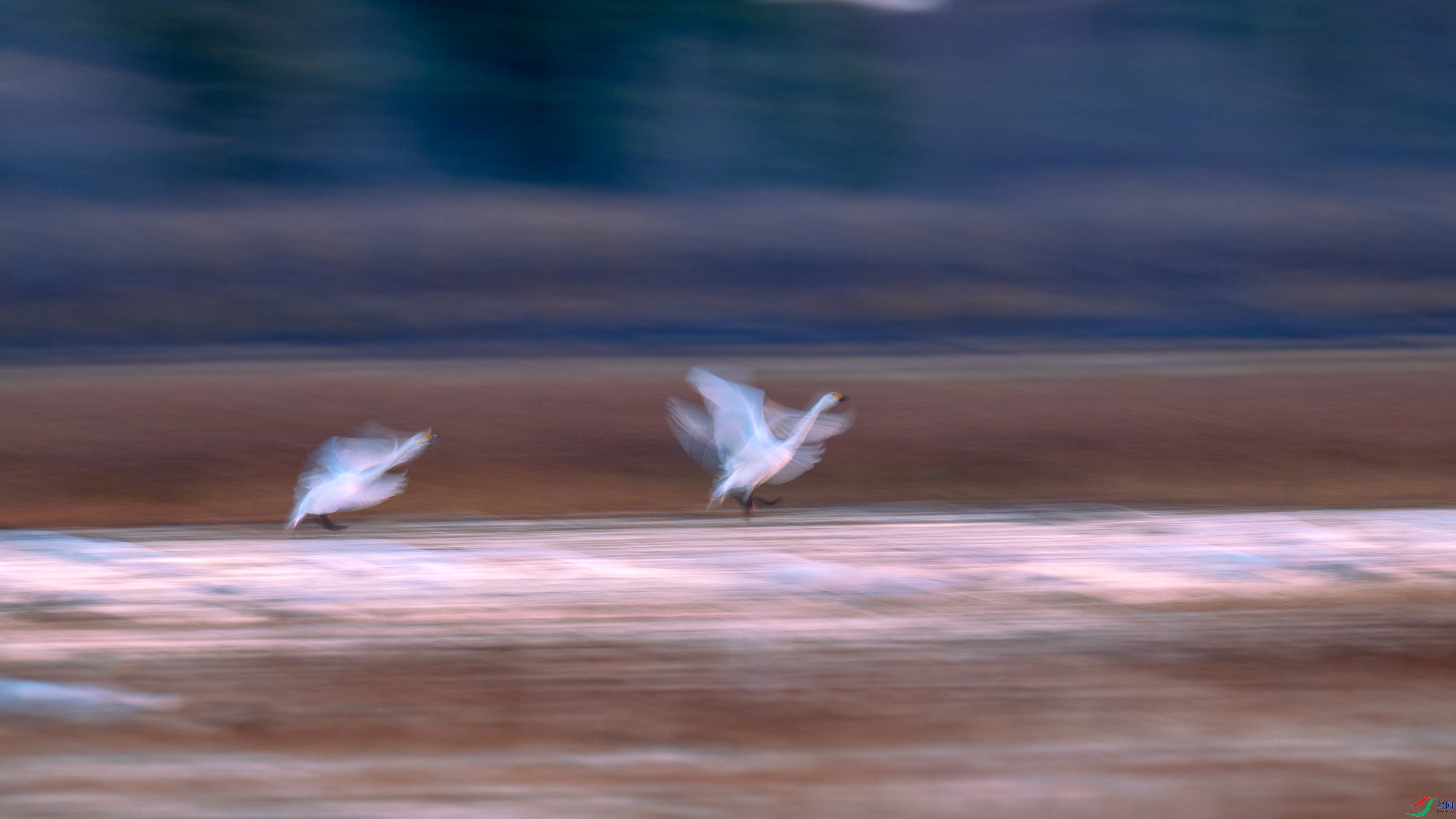 DSC_6248.jpg