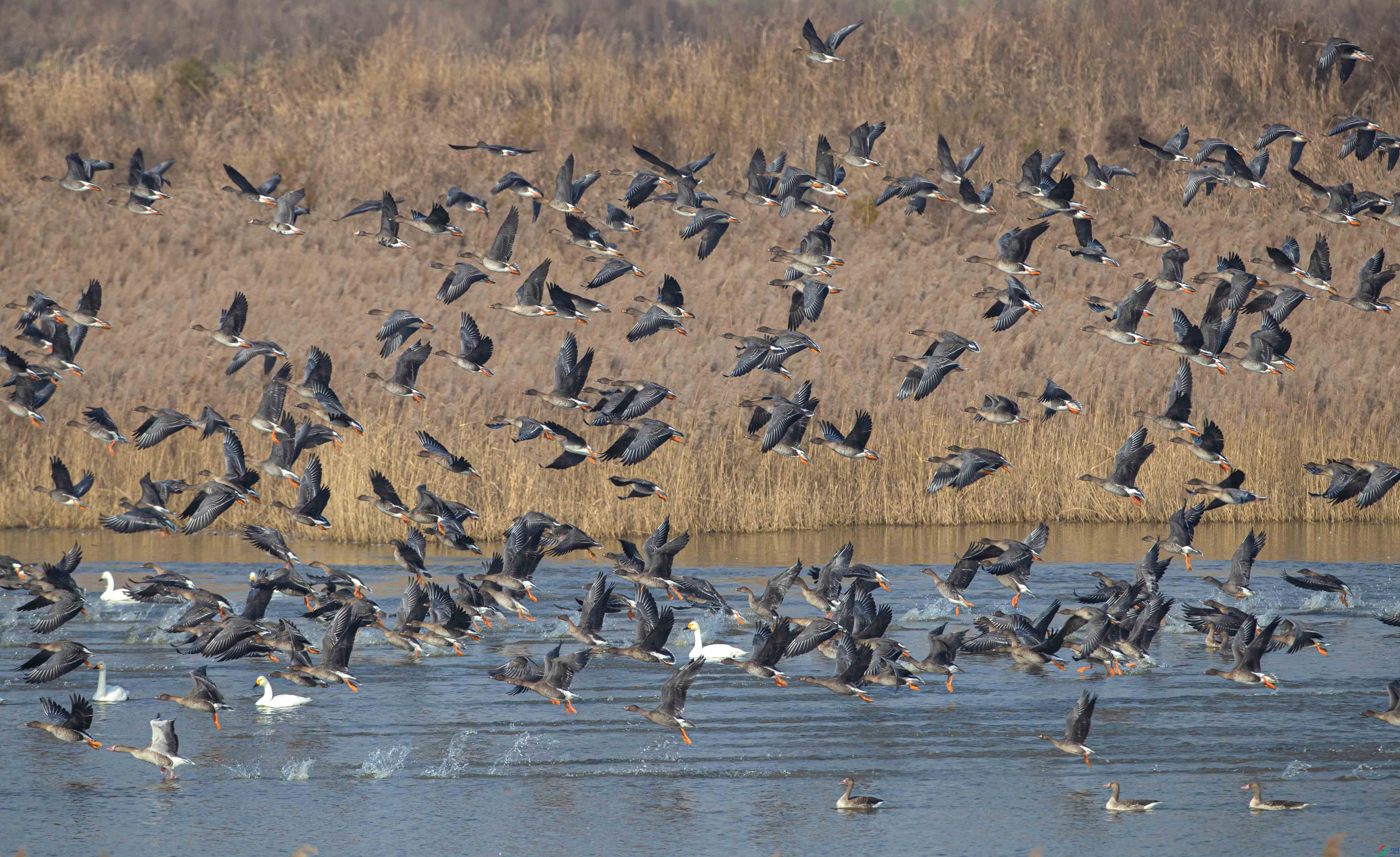 A79I9758 ����.jpg