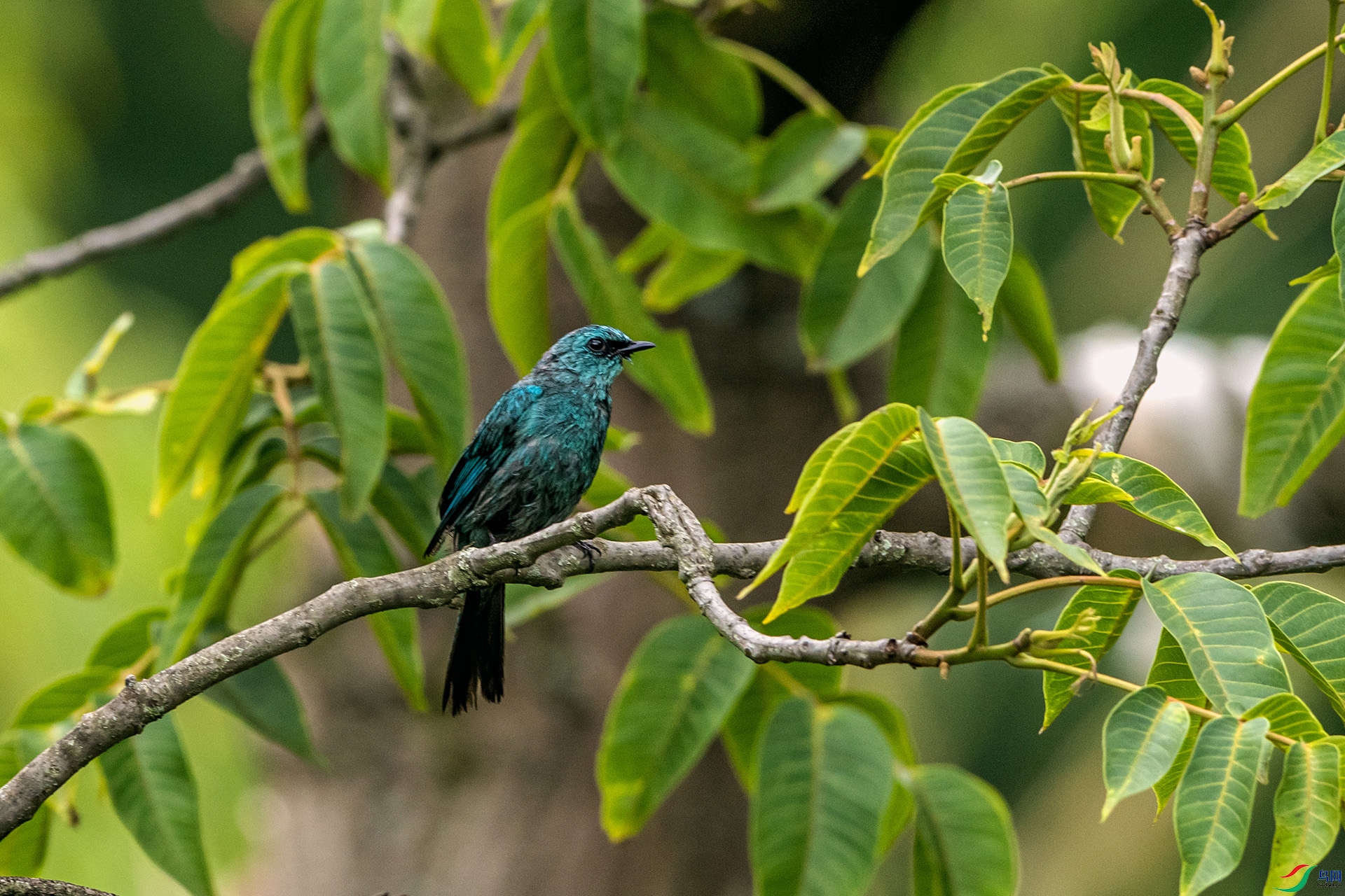 _AUU7072 ͭ���l(25.7.8).jpg