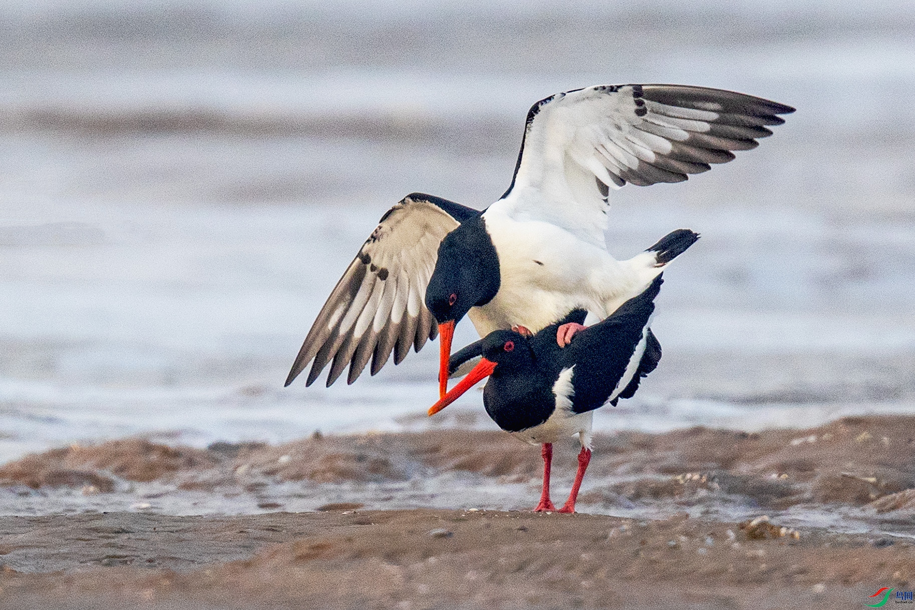 _90I2956 ����.jpg