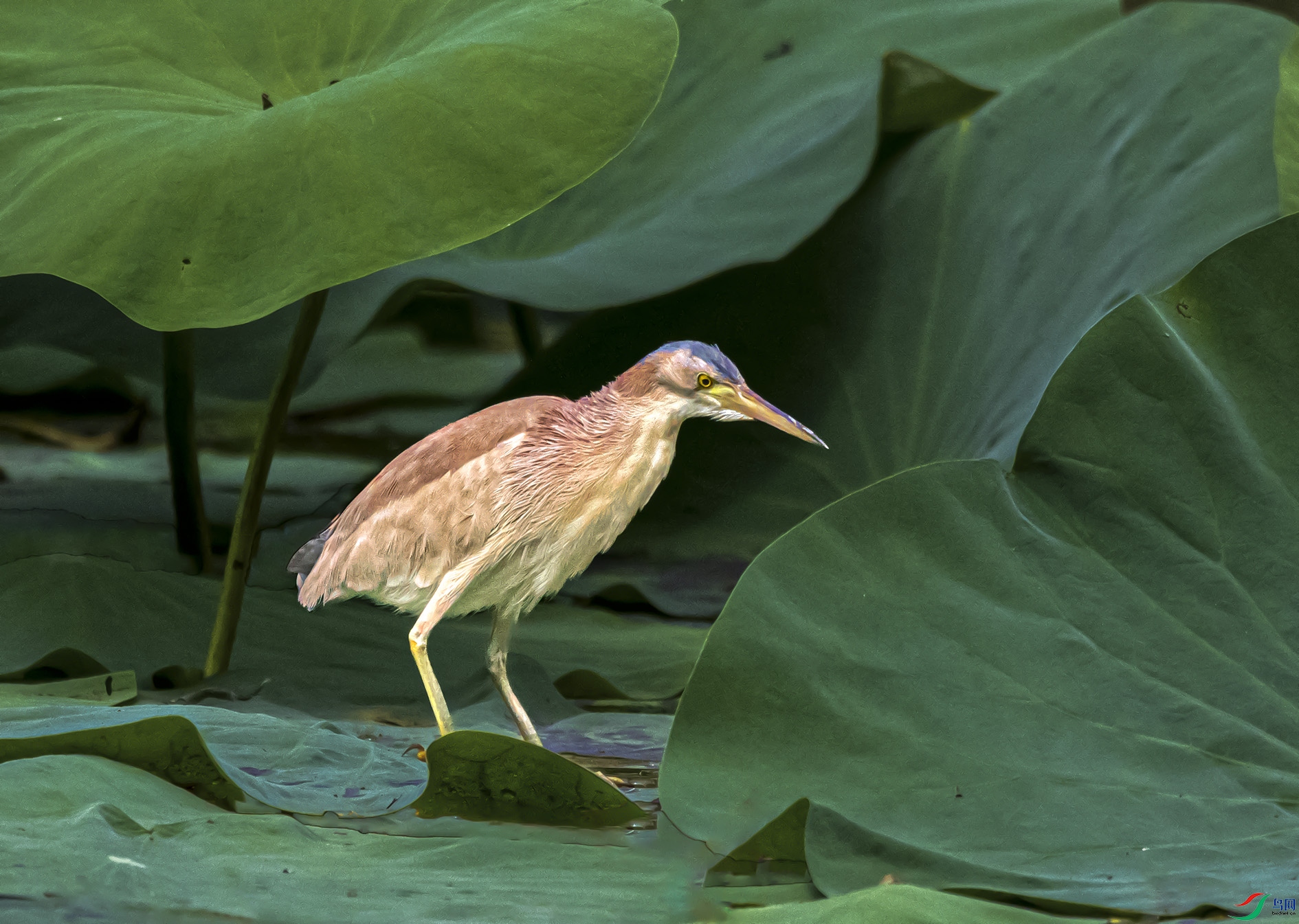_DSC9893.jpg