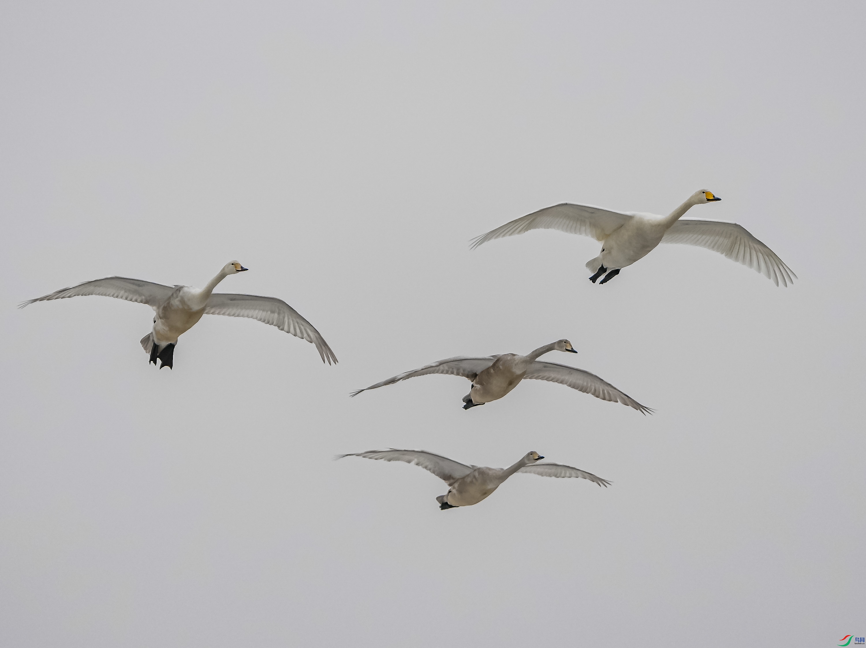 �����-13 (2).jpg