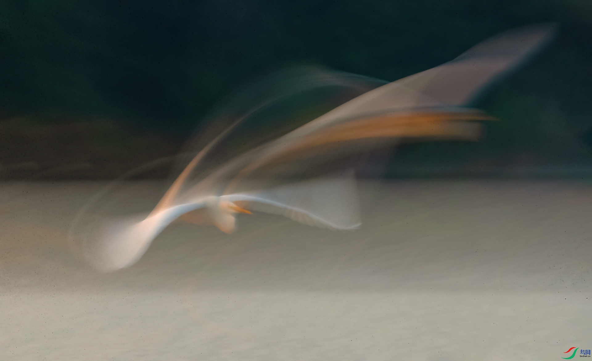 AK8I8886   ���� �졷�ɸ������꣩.jpg