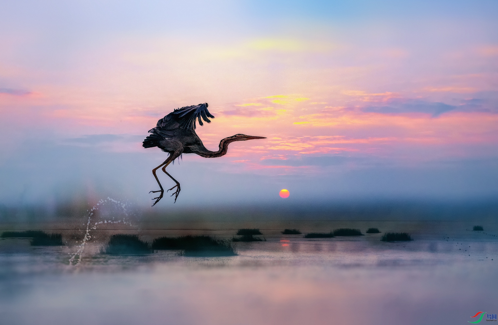 ����----������ˮ