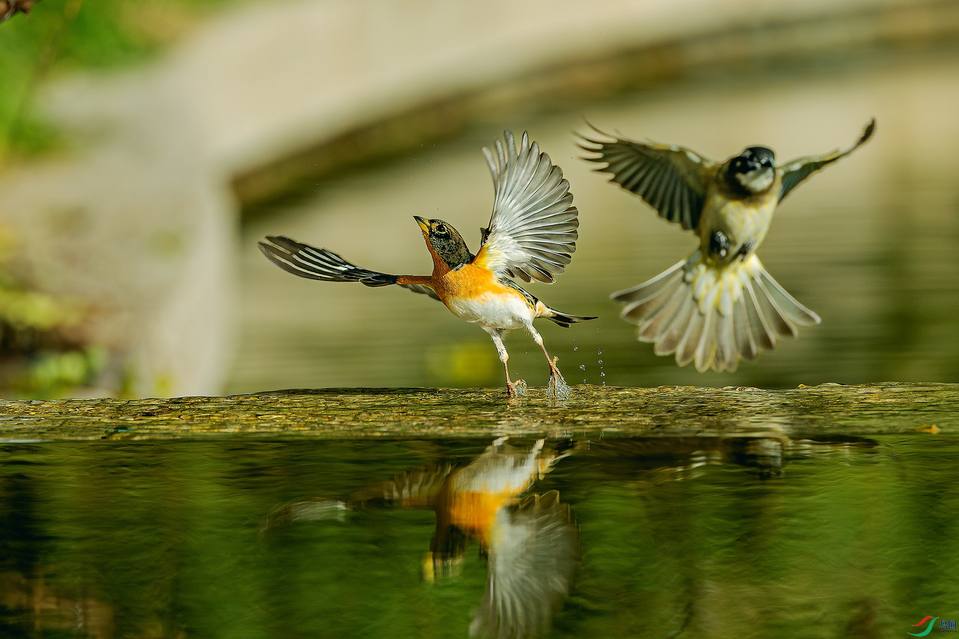 1204���� ������.jpg