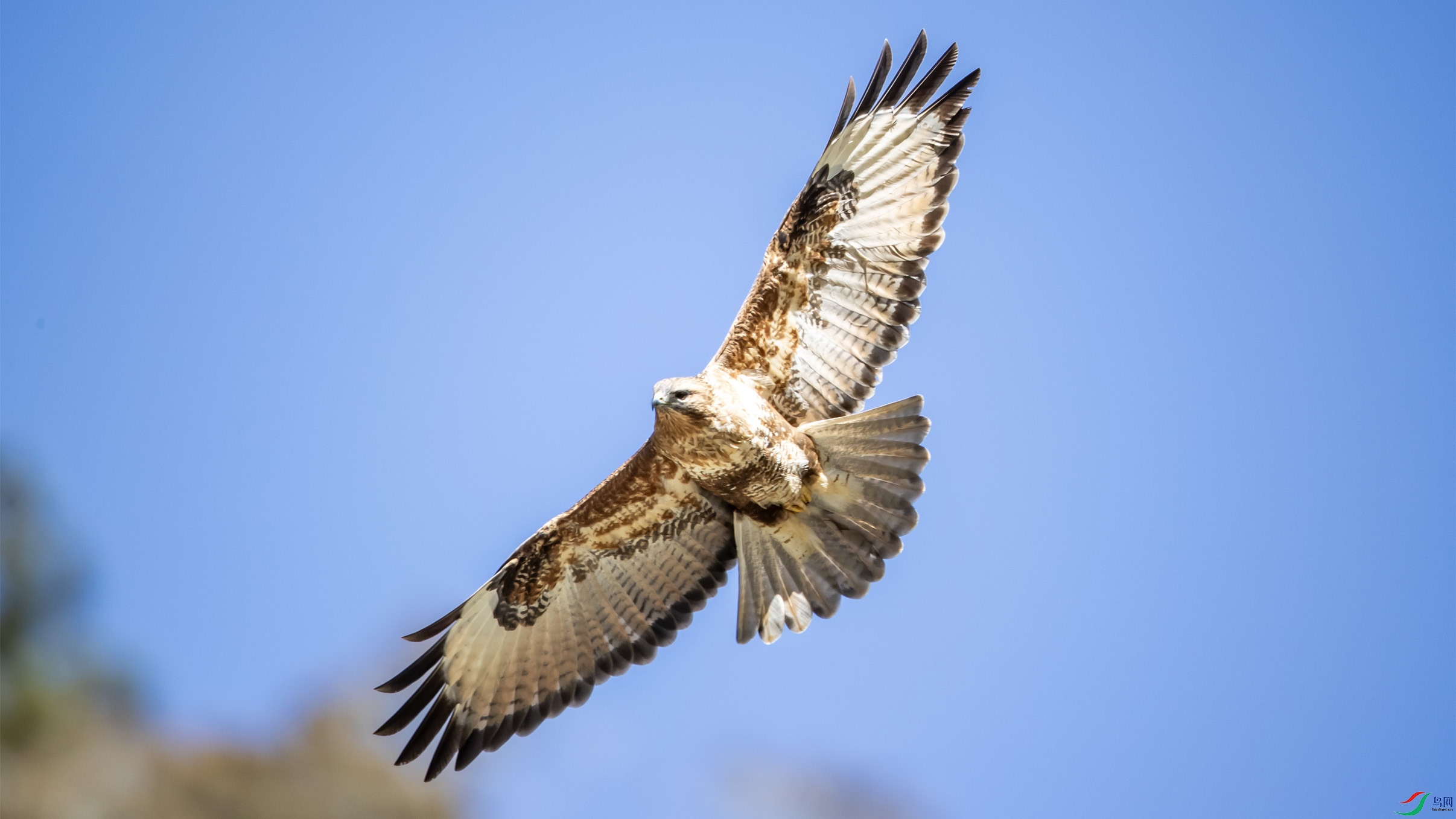 B26I7258 ��ͨ�OK01.jpg