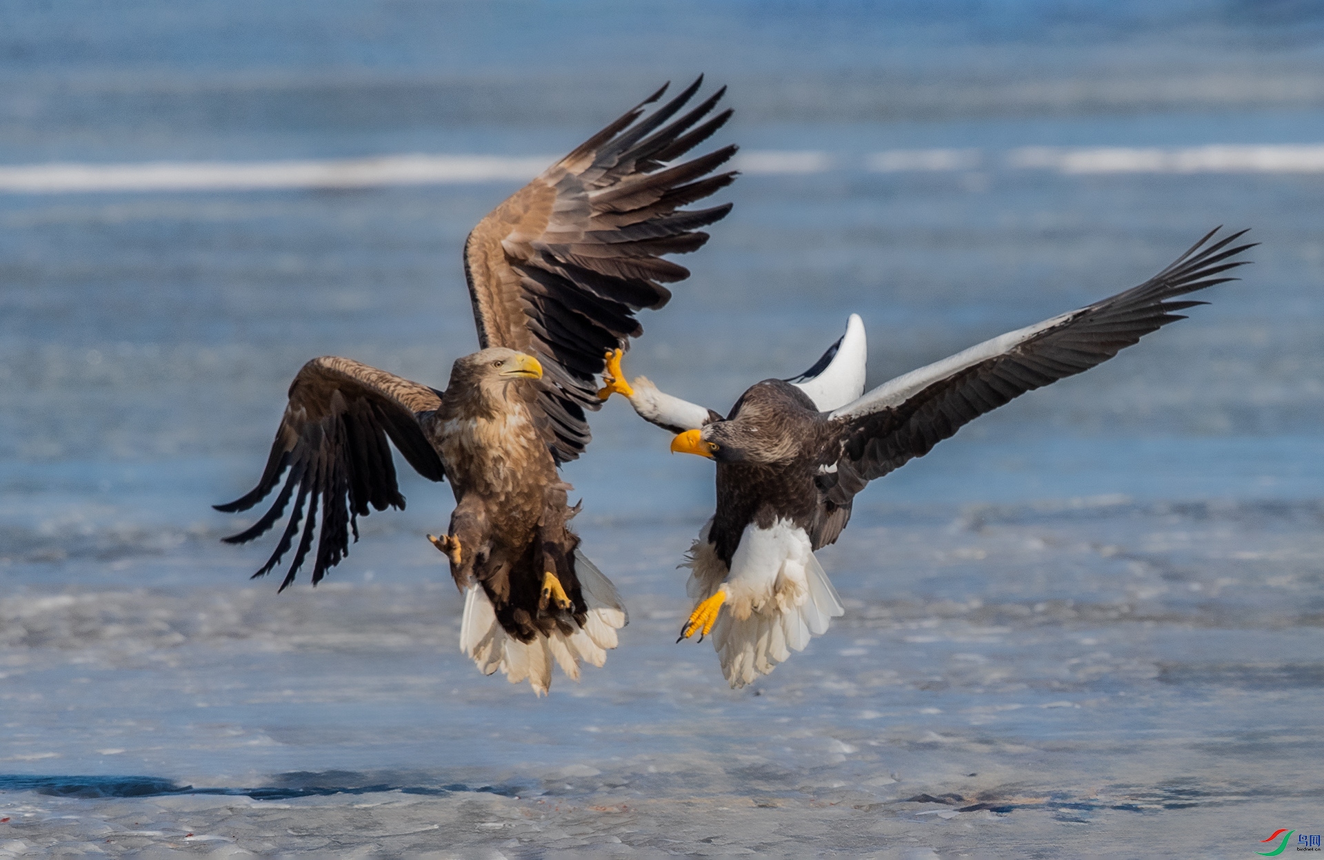 AK8I0103����  03.jpg