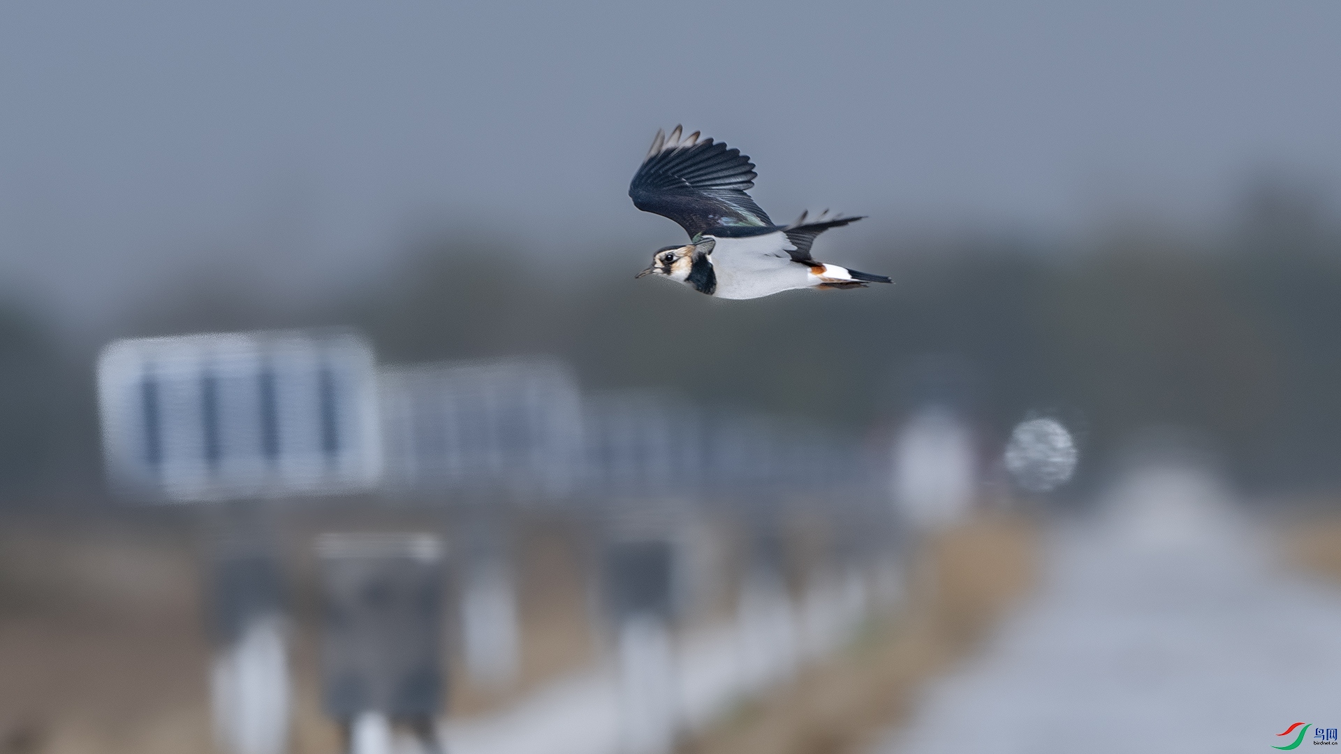 DSC_7783 ����.jpg