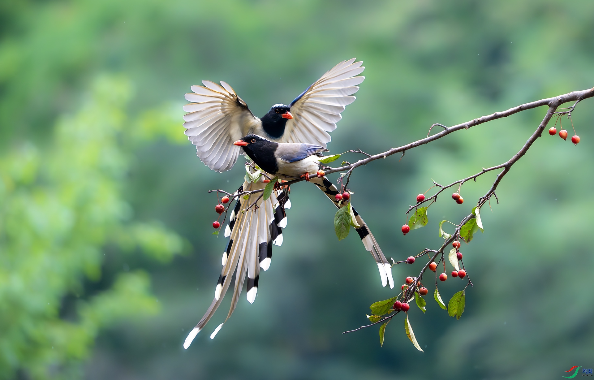 DSC06477-����ǿ-NR ����.jpg