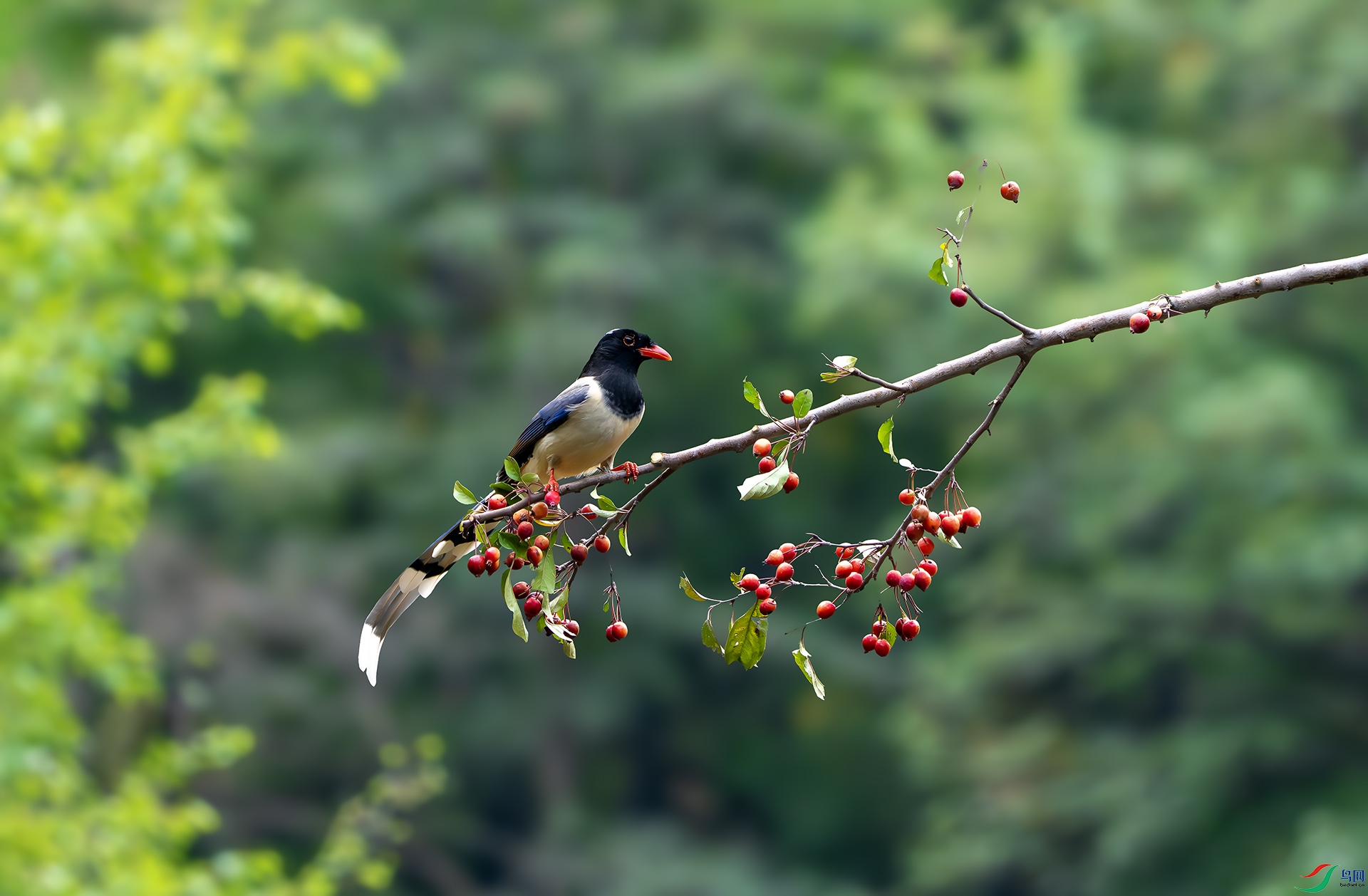 DSC06572-����ǿ-NR ����.jpg