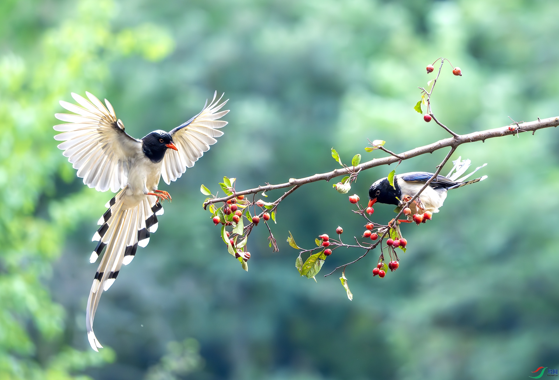 DSC06668-����ǿ-NR ����.jpg