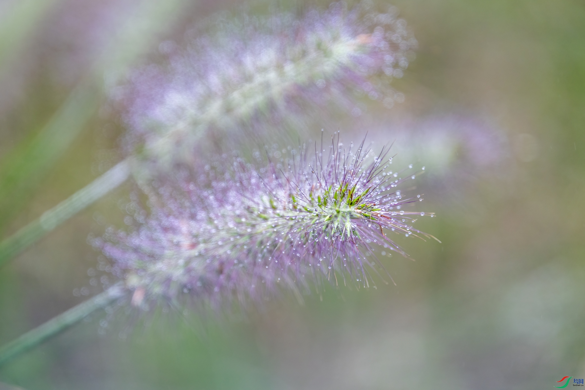DSC_1284-1.jpg