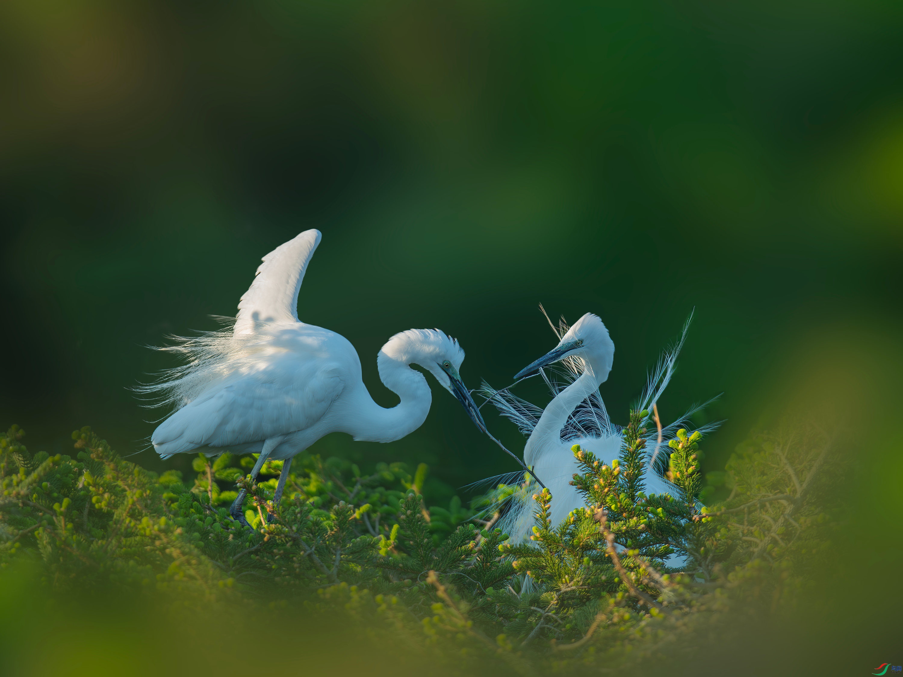 ���� (1).jpg