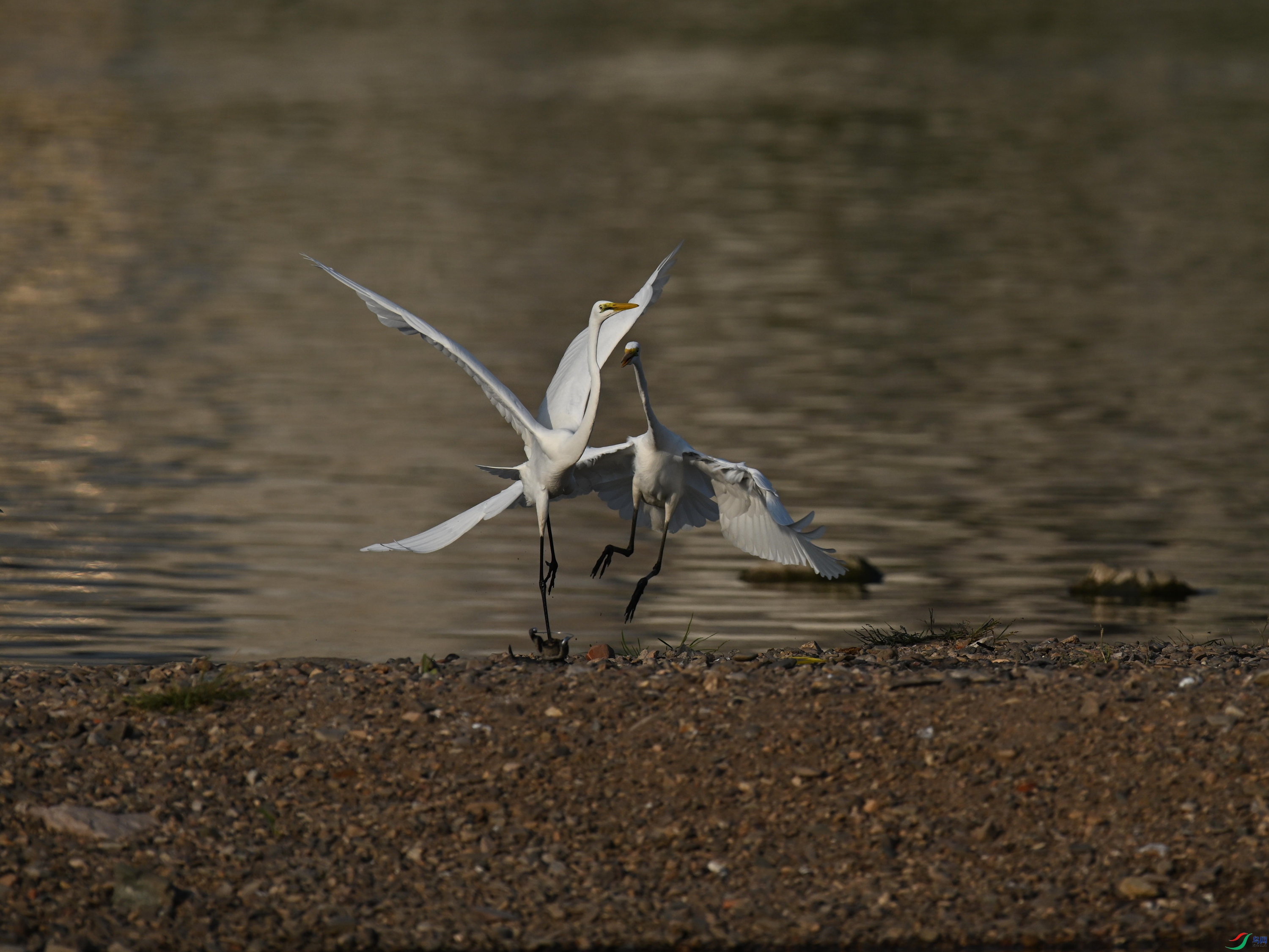 ���� (4).jpg