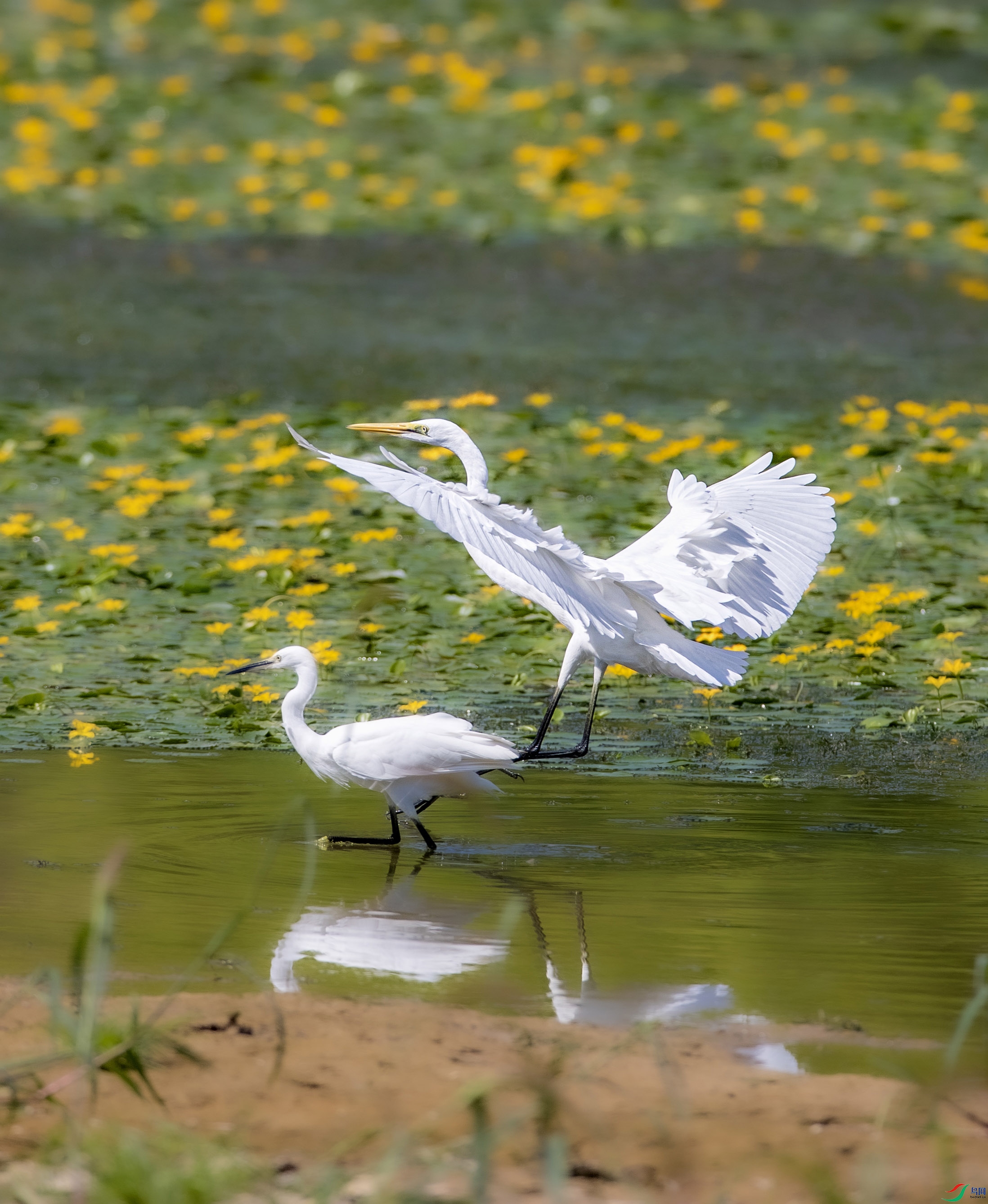 A79I3308 ����.jpg