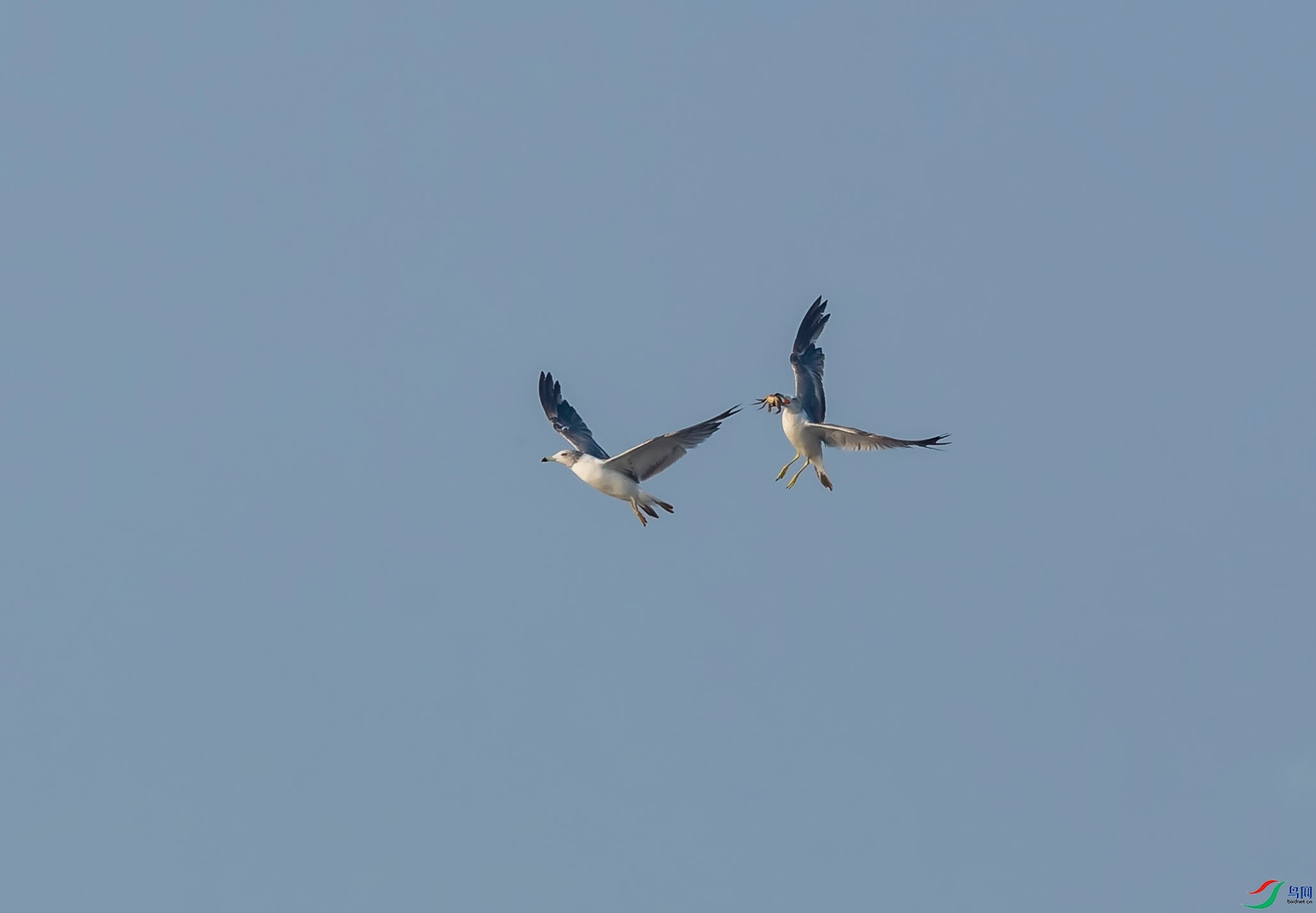 DSC_4010_����.jpg