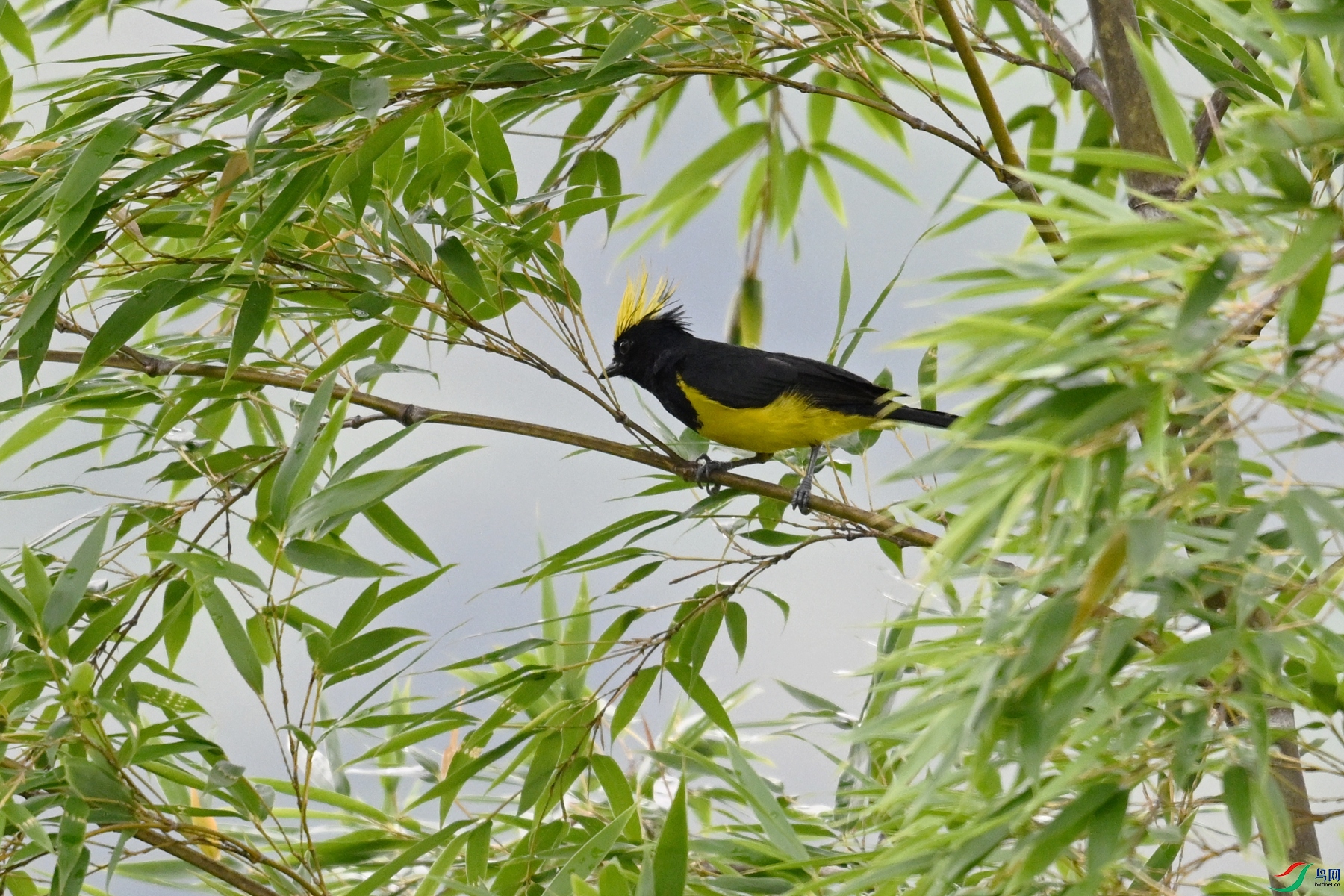 DSC_9614.JPG