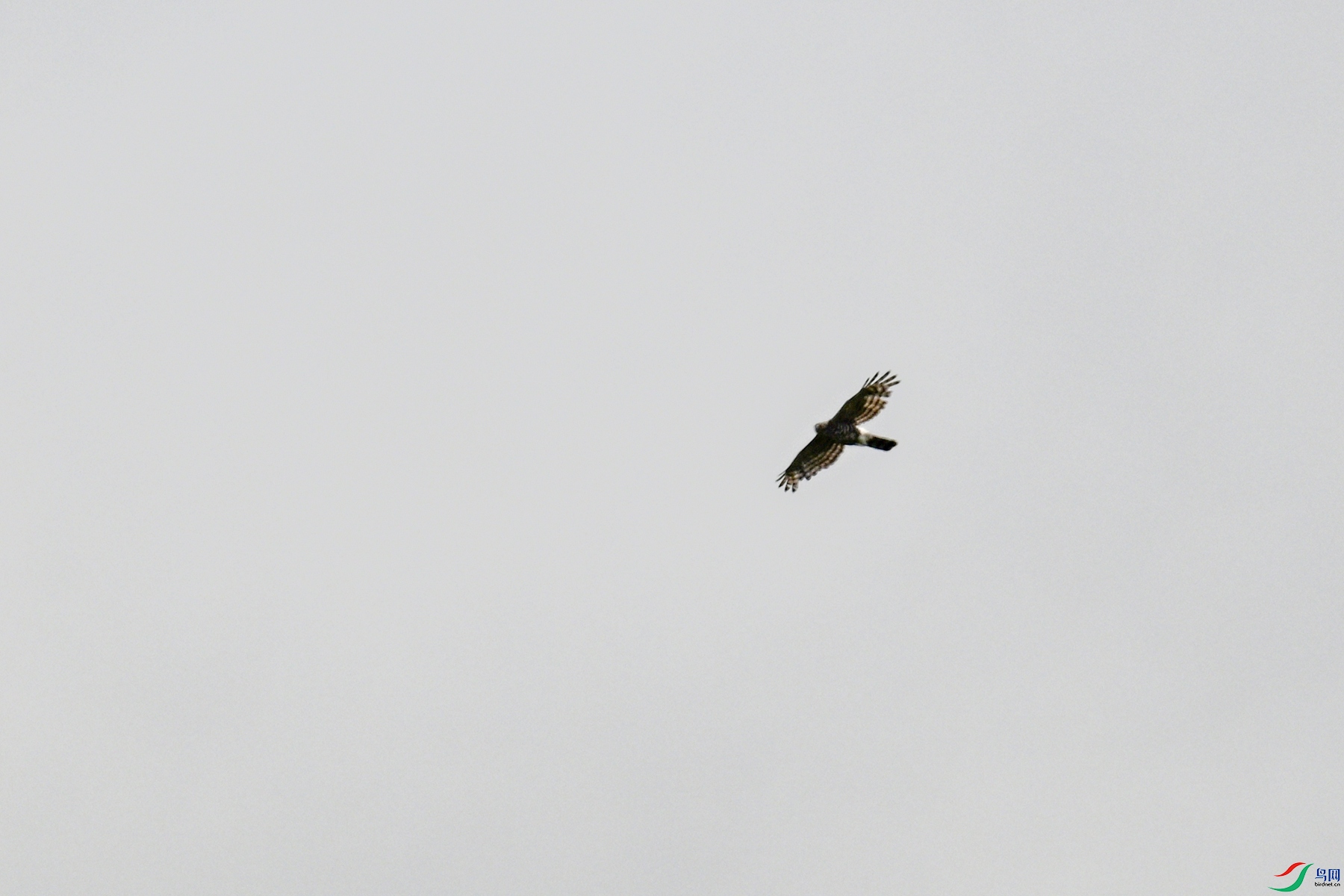 DSC_9621.JPG
